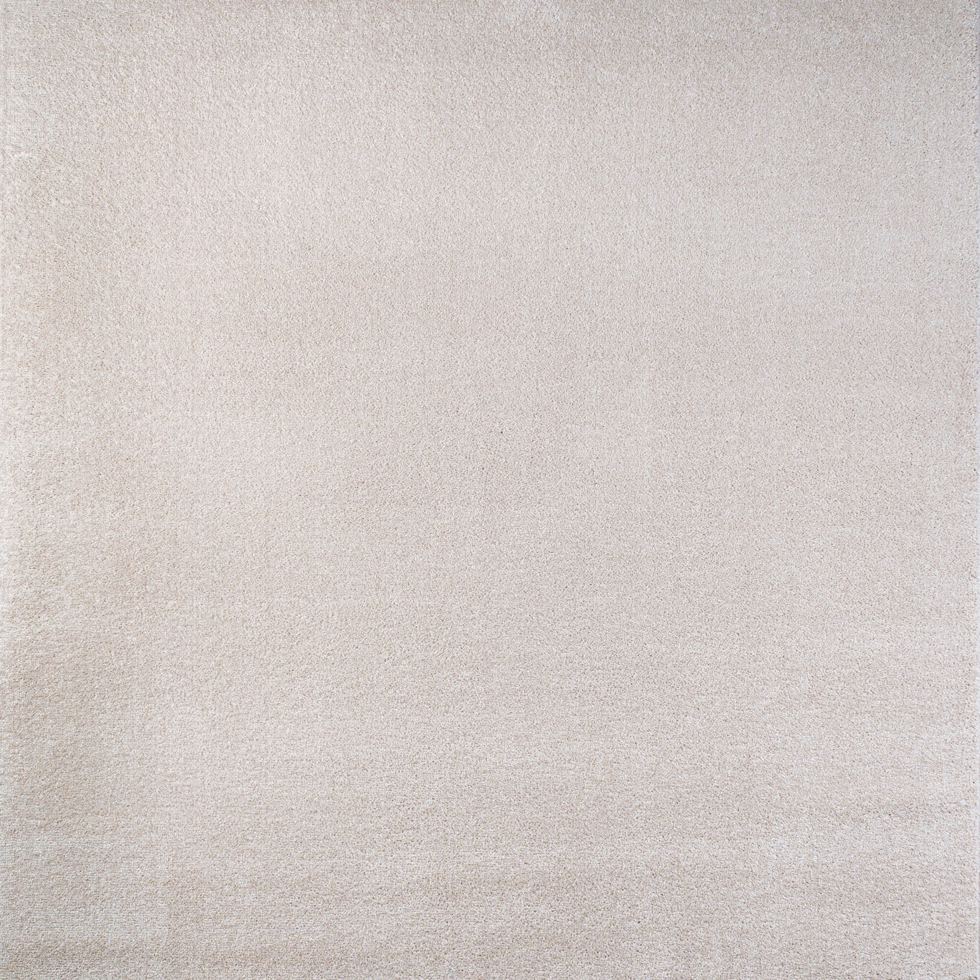 Haze Solid Low-Pile Area Rug