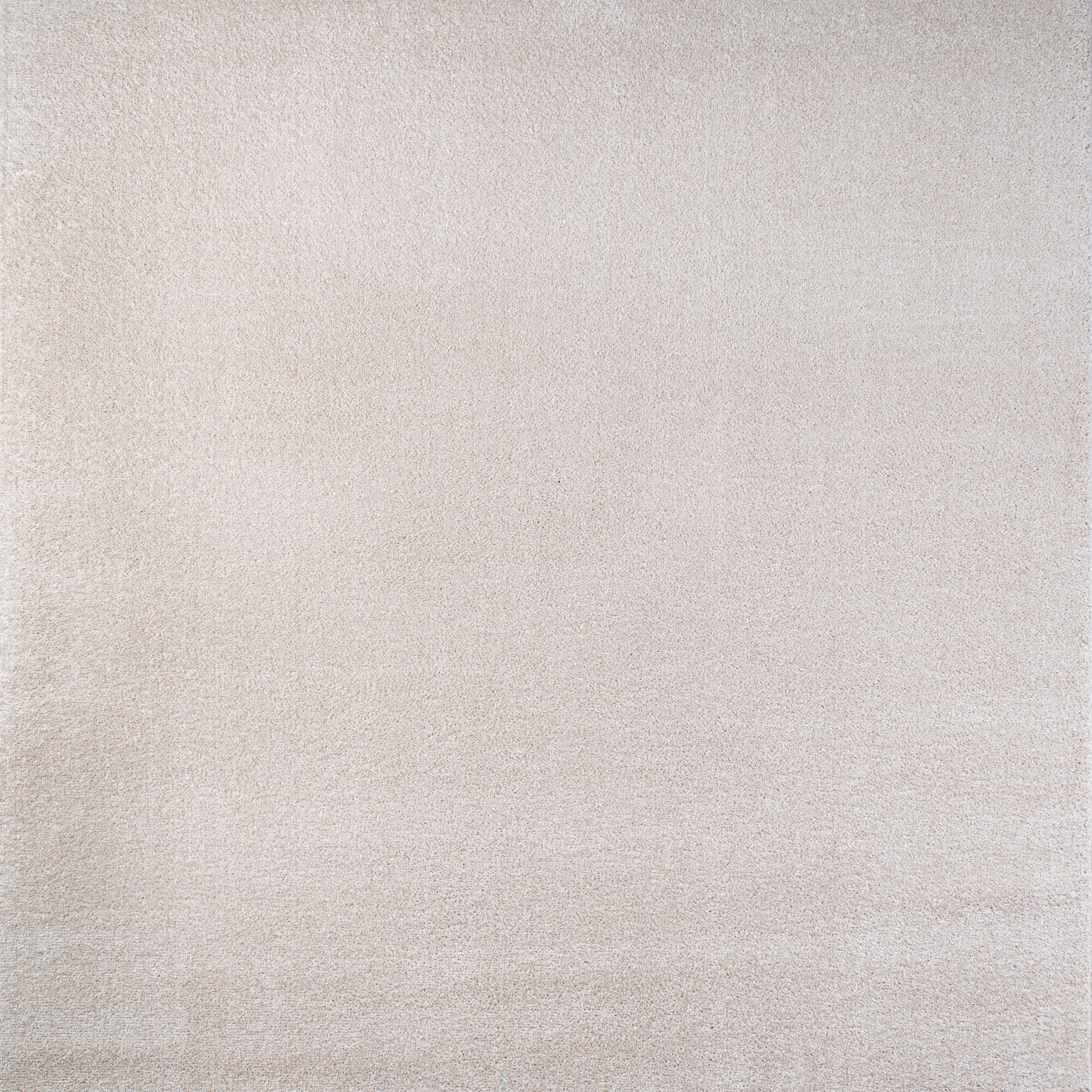 Haze Solid Low-Pile Area Rug