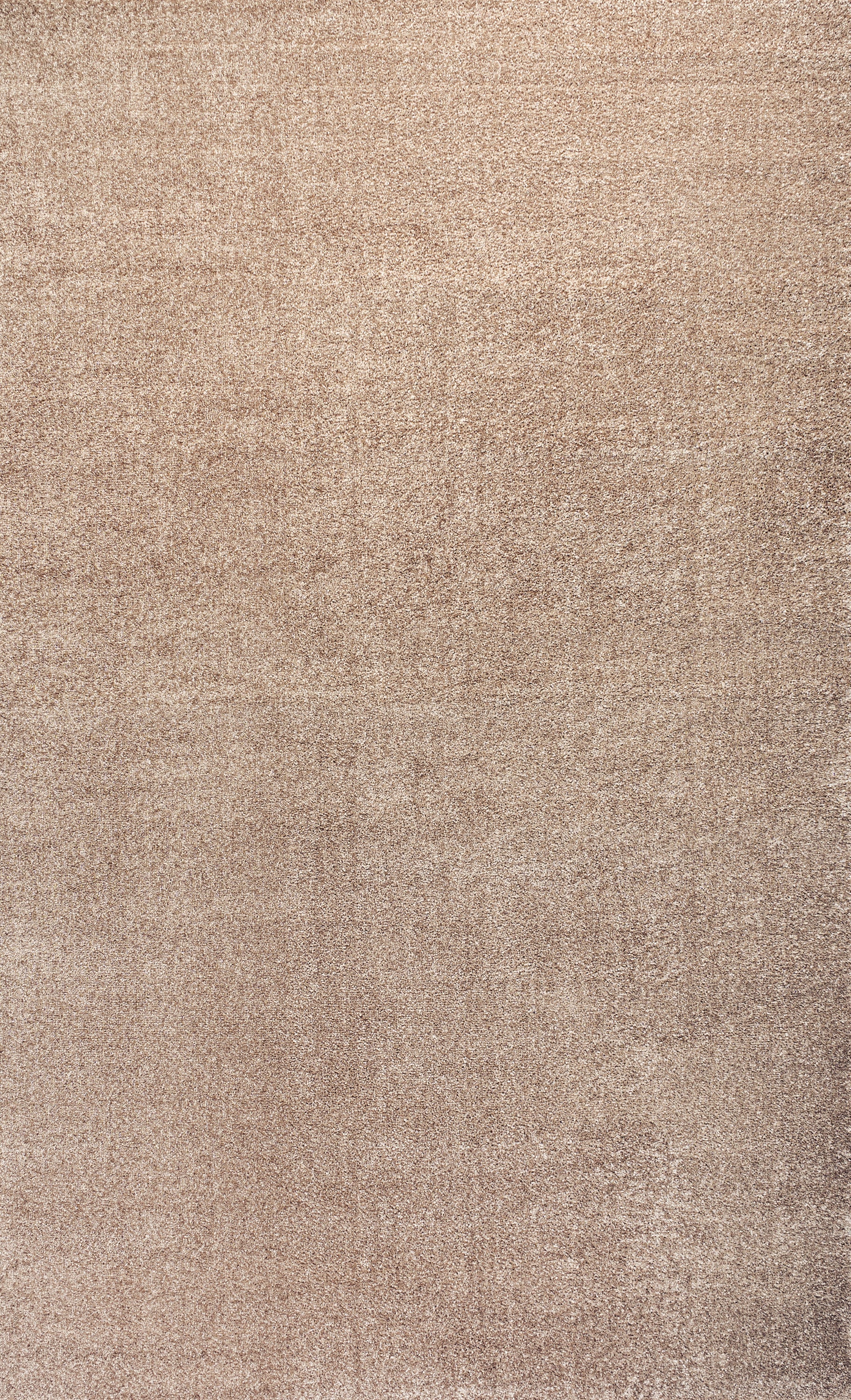 Haze Solid Low-Pile Area Rug