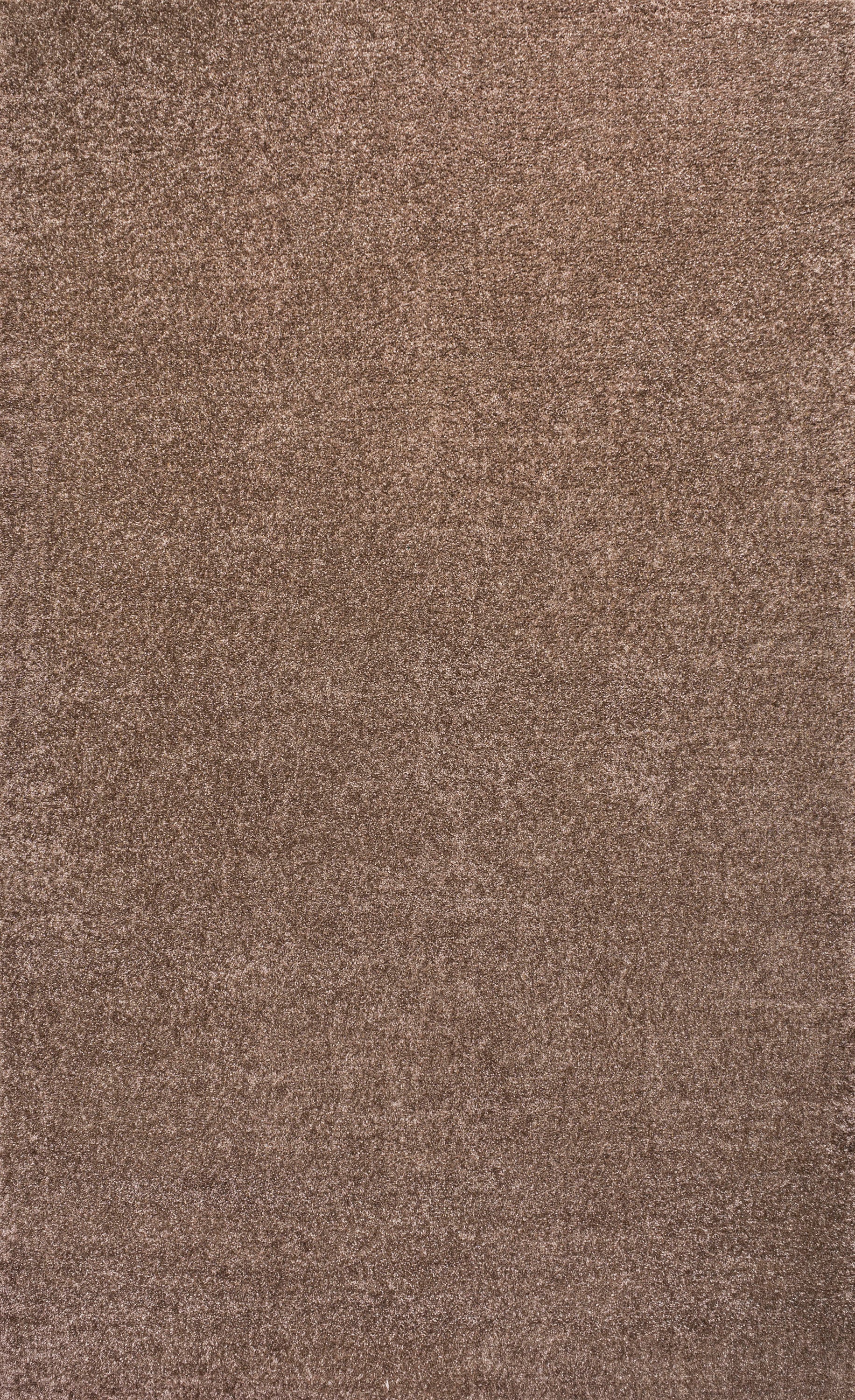 Haze Solid Low-Pile Area Rug