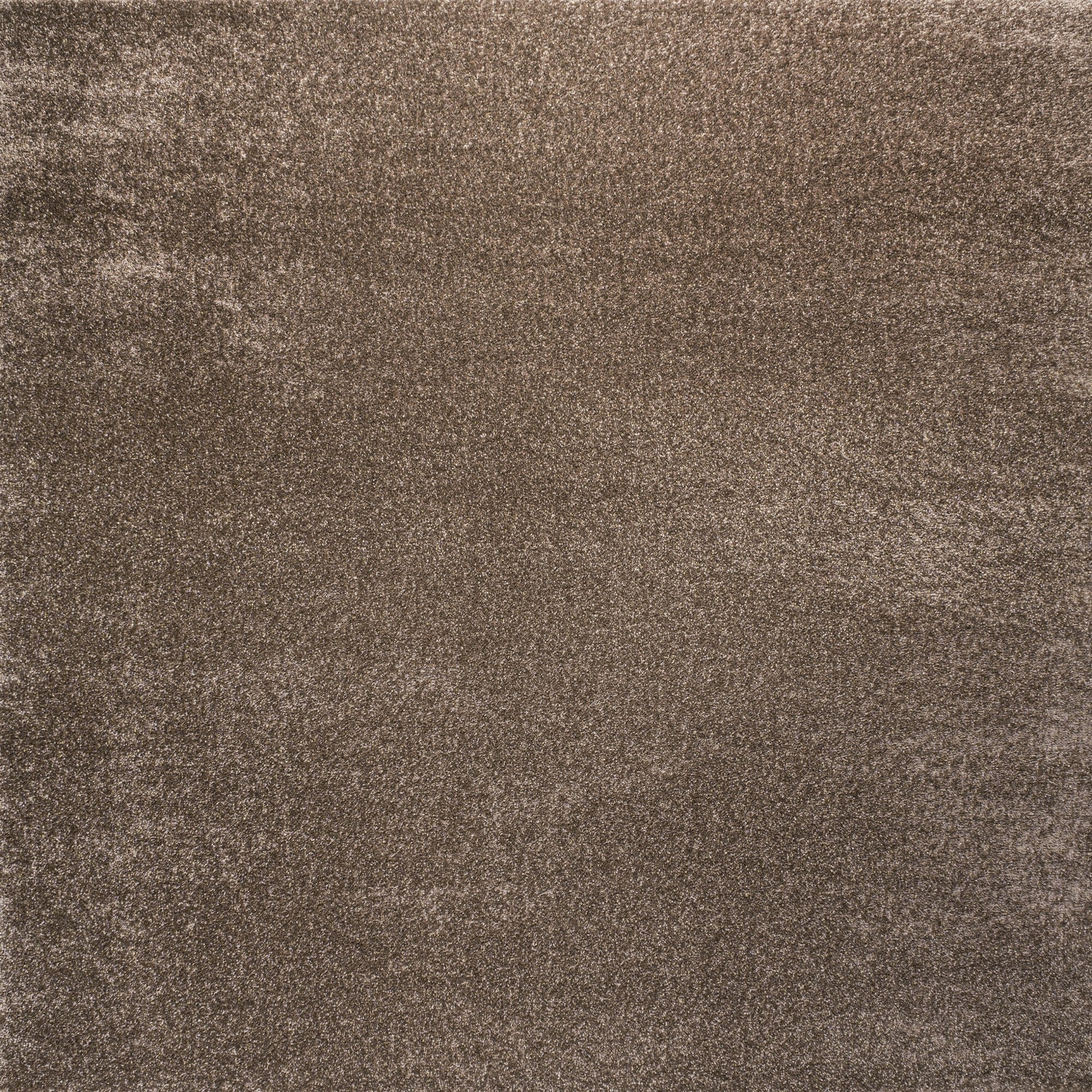 Haze Solid Low-Pile Area Rug