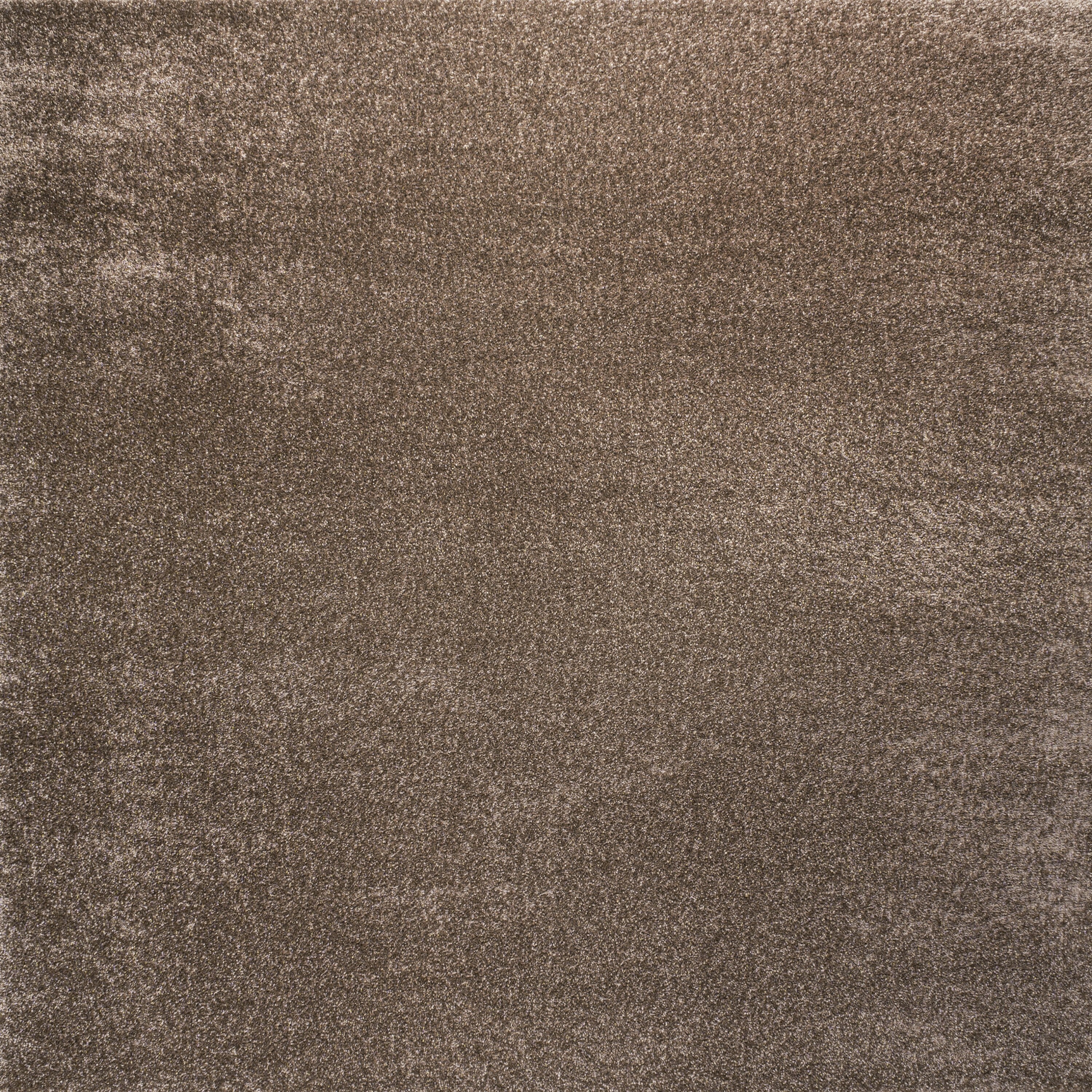 Haze Solid Low-Pile Area Rug