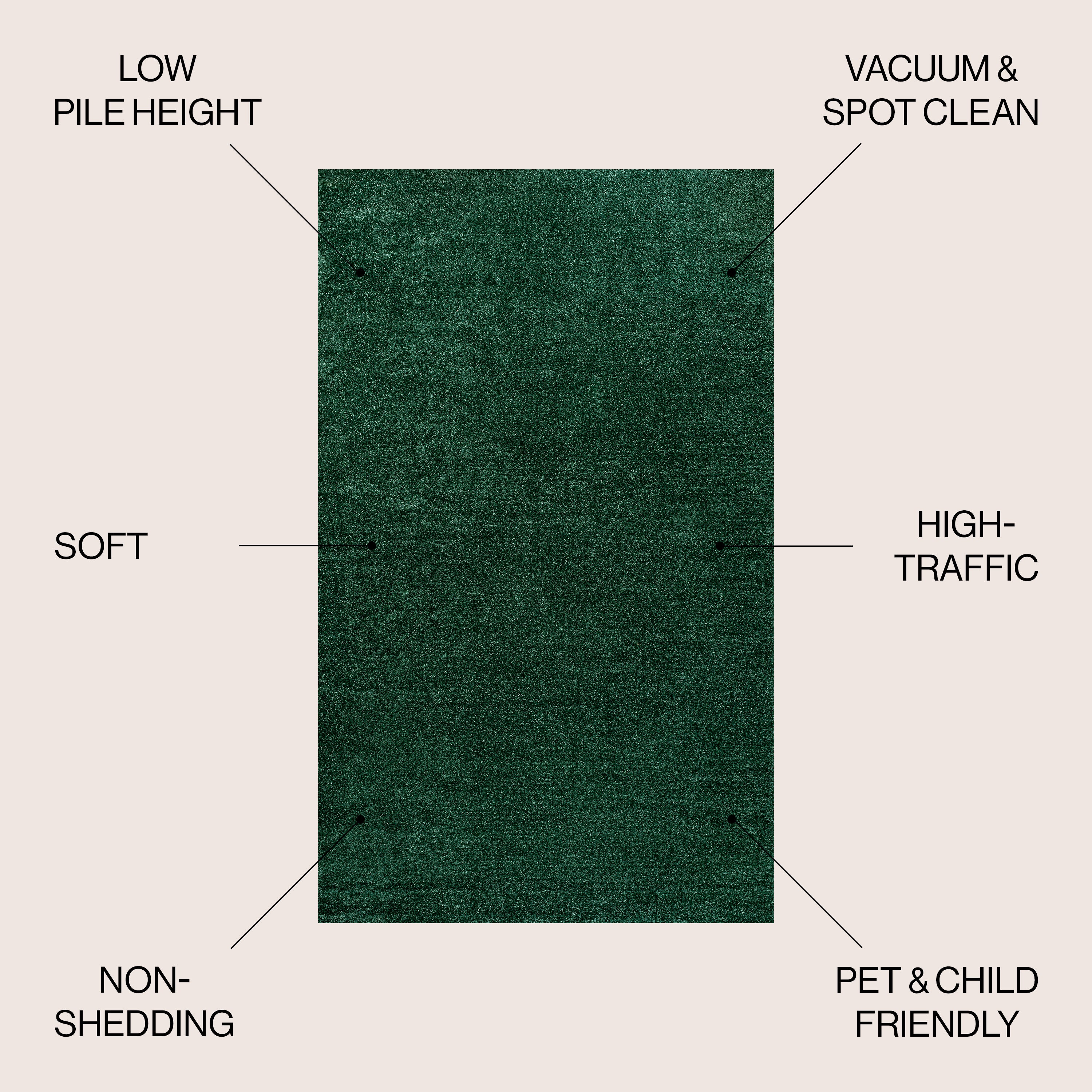 Haze Solid Low-Pile Area Rug