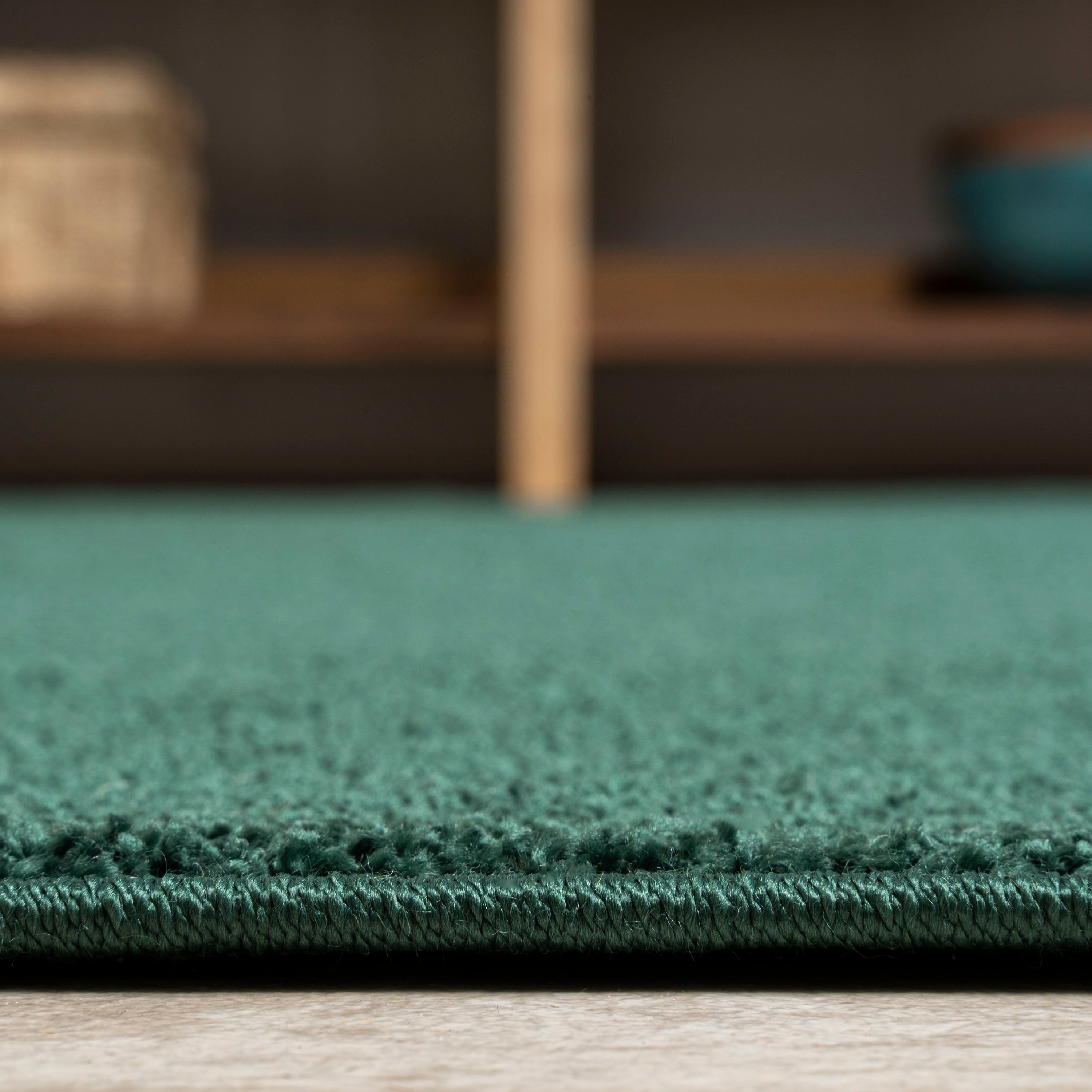 Haze Solid Low-Pile Area Rug