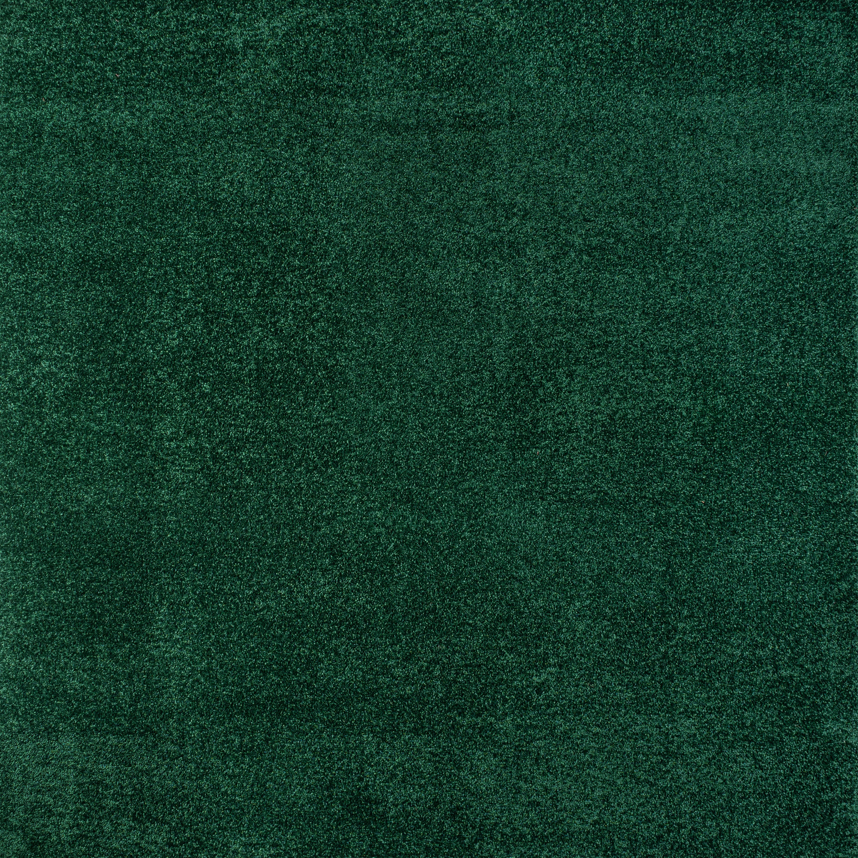 Haze Solid Low-Pile Area Rug