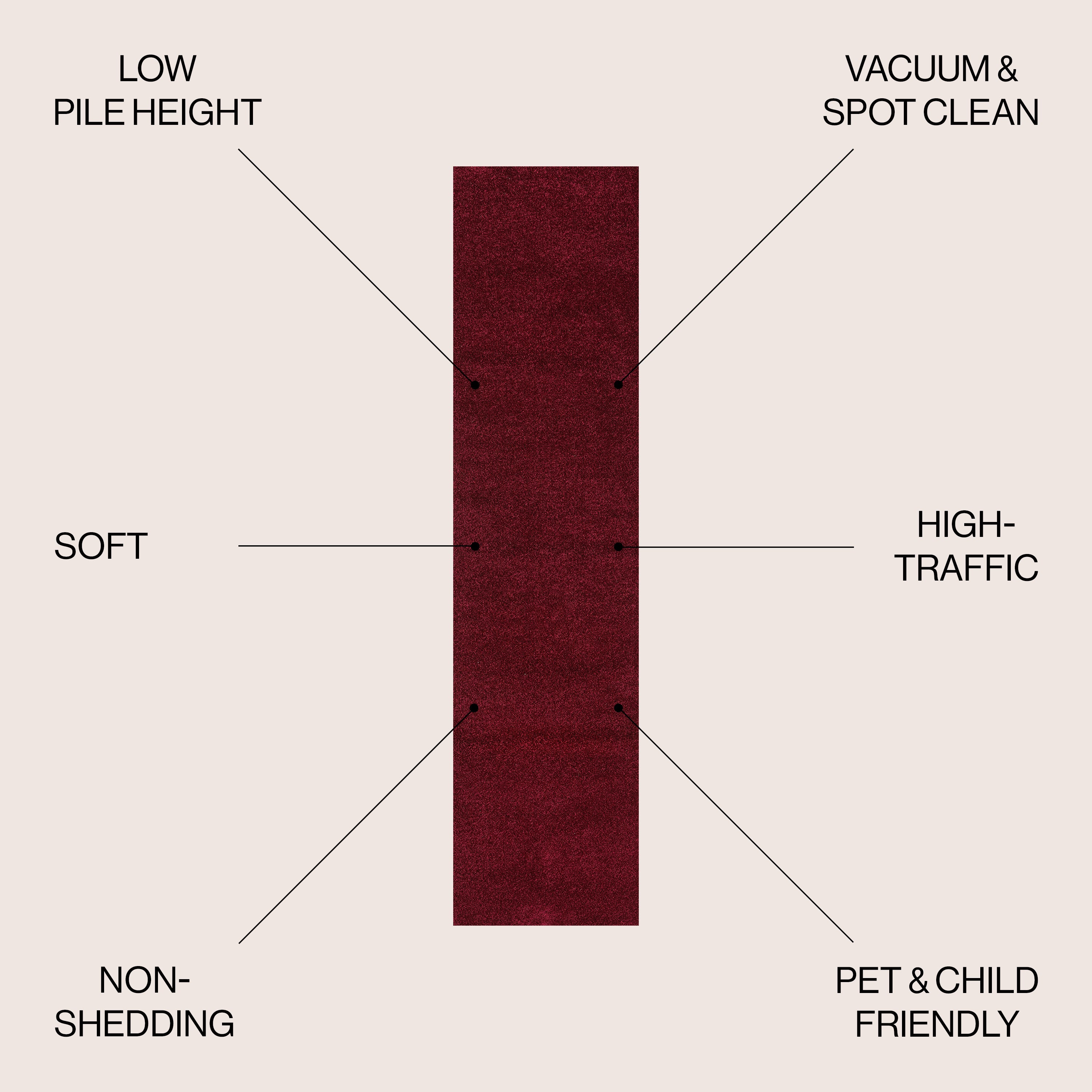 Haze Solid Low-Pile Area Rug