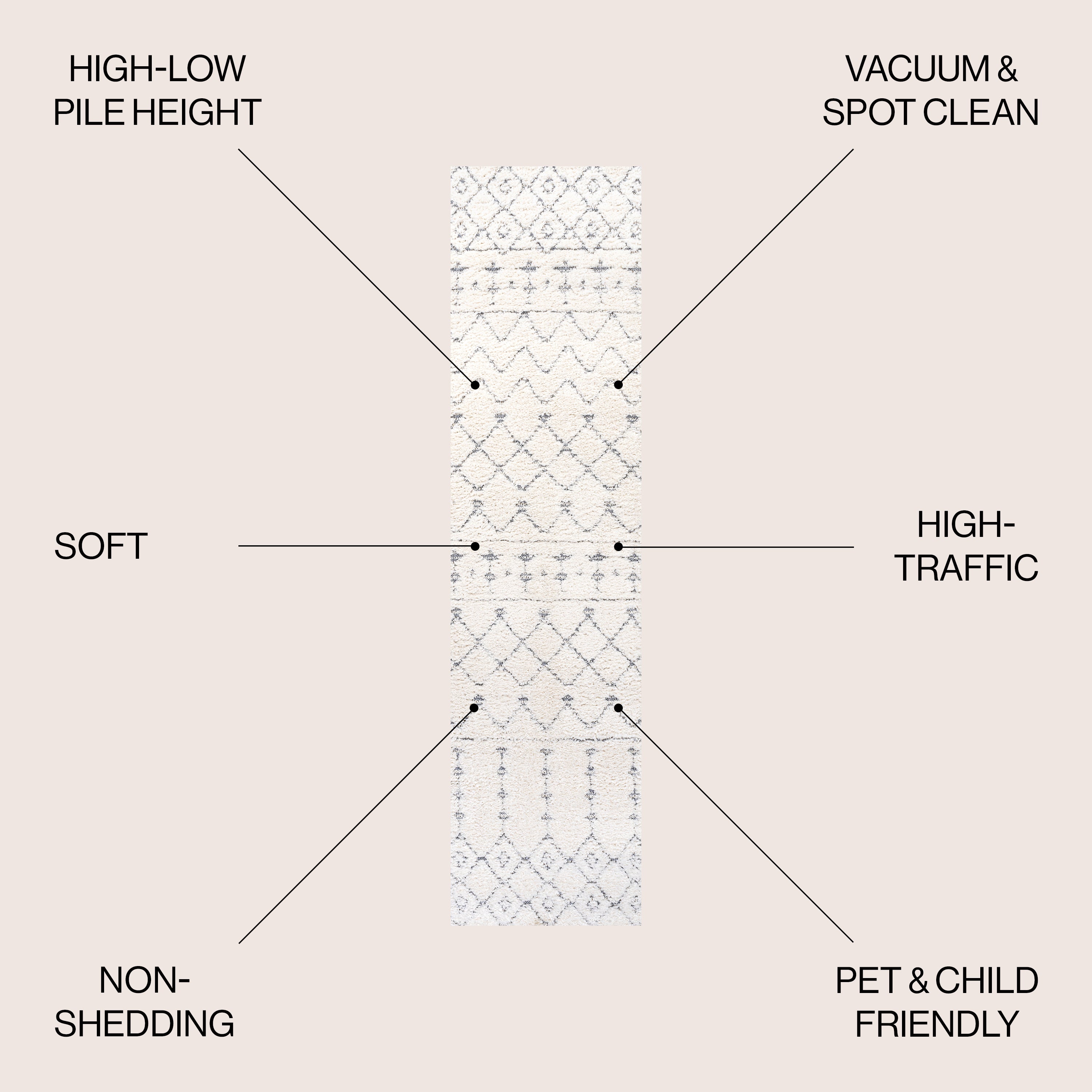 Pia Moroccan Trellis Plush Carved Area Rug