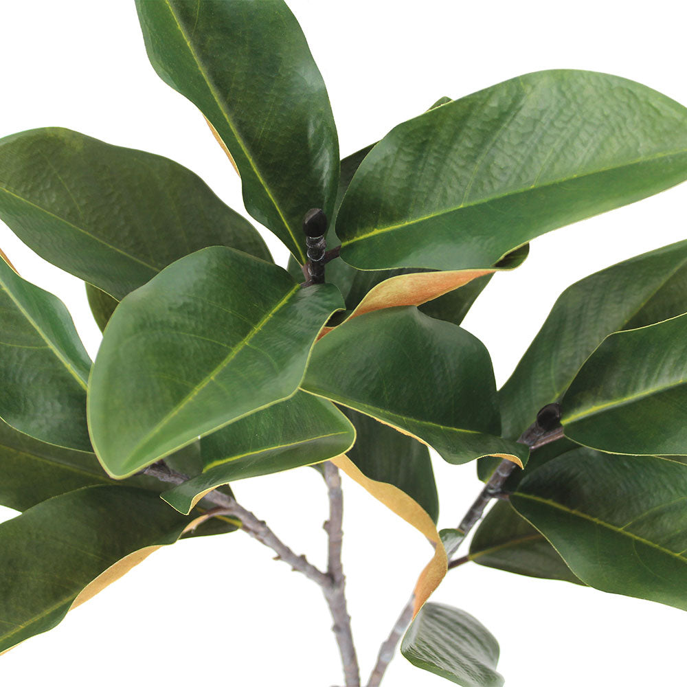 Lifelike 36" Faux Green Magnolia Leaf Stems, Set of 4