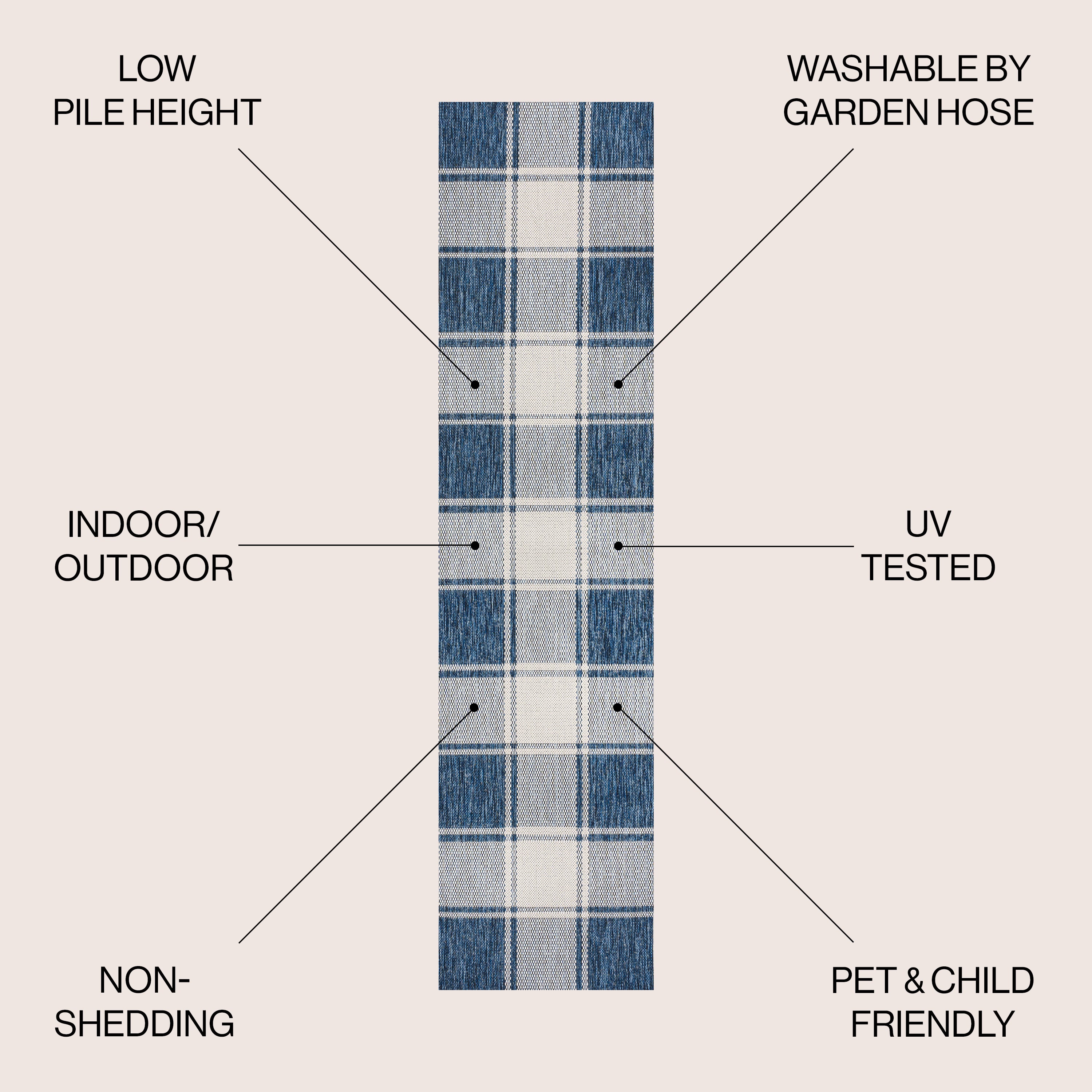 Sabine Traditional Farmhouse Bold Gingham Indoor/Outdoor Runner Rug