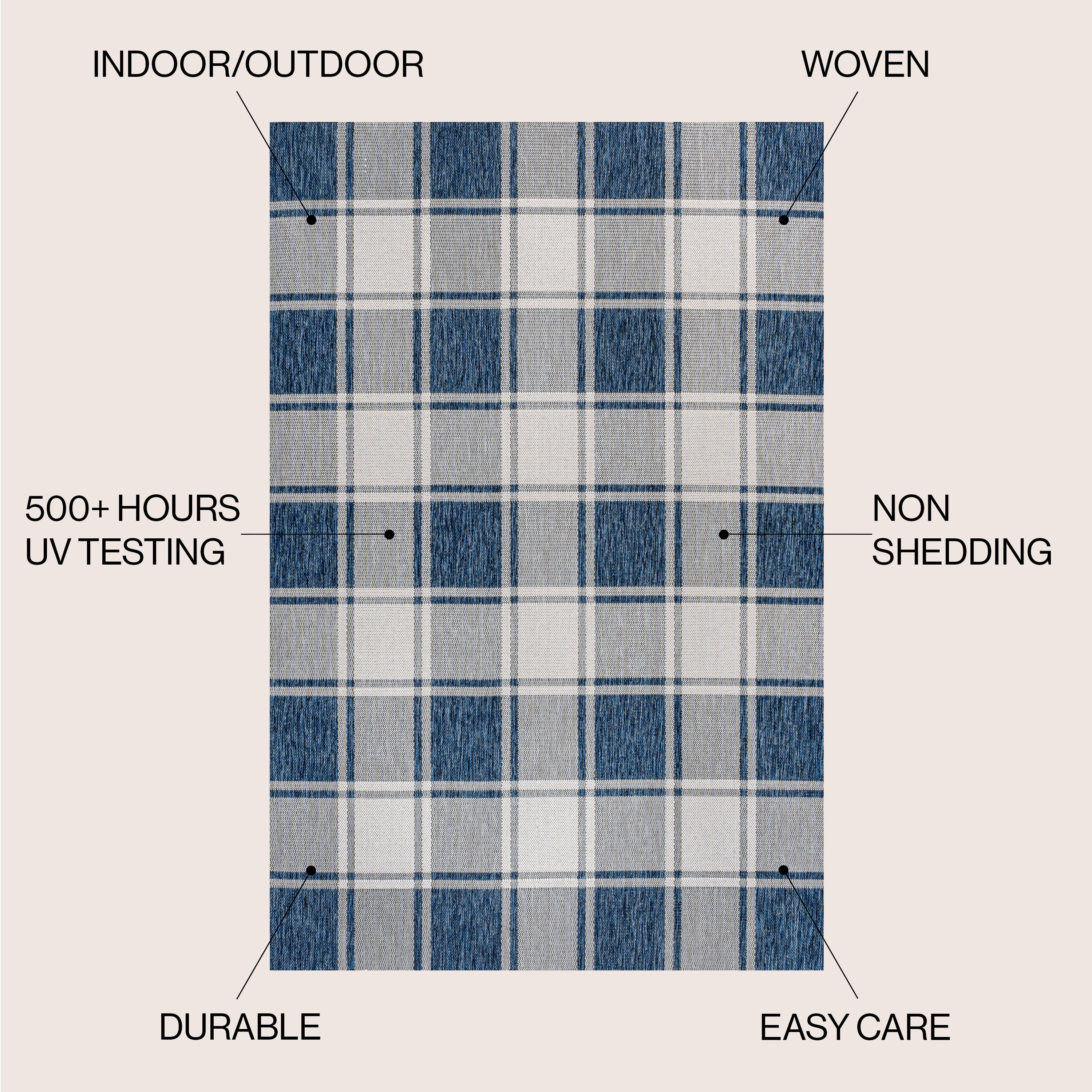 Sabine Traditional Farmhouse Bold Gingham Indoor/Outdoor Runner Rug