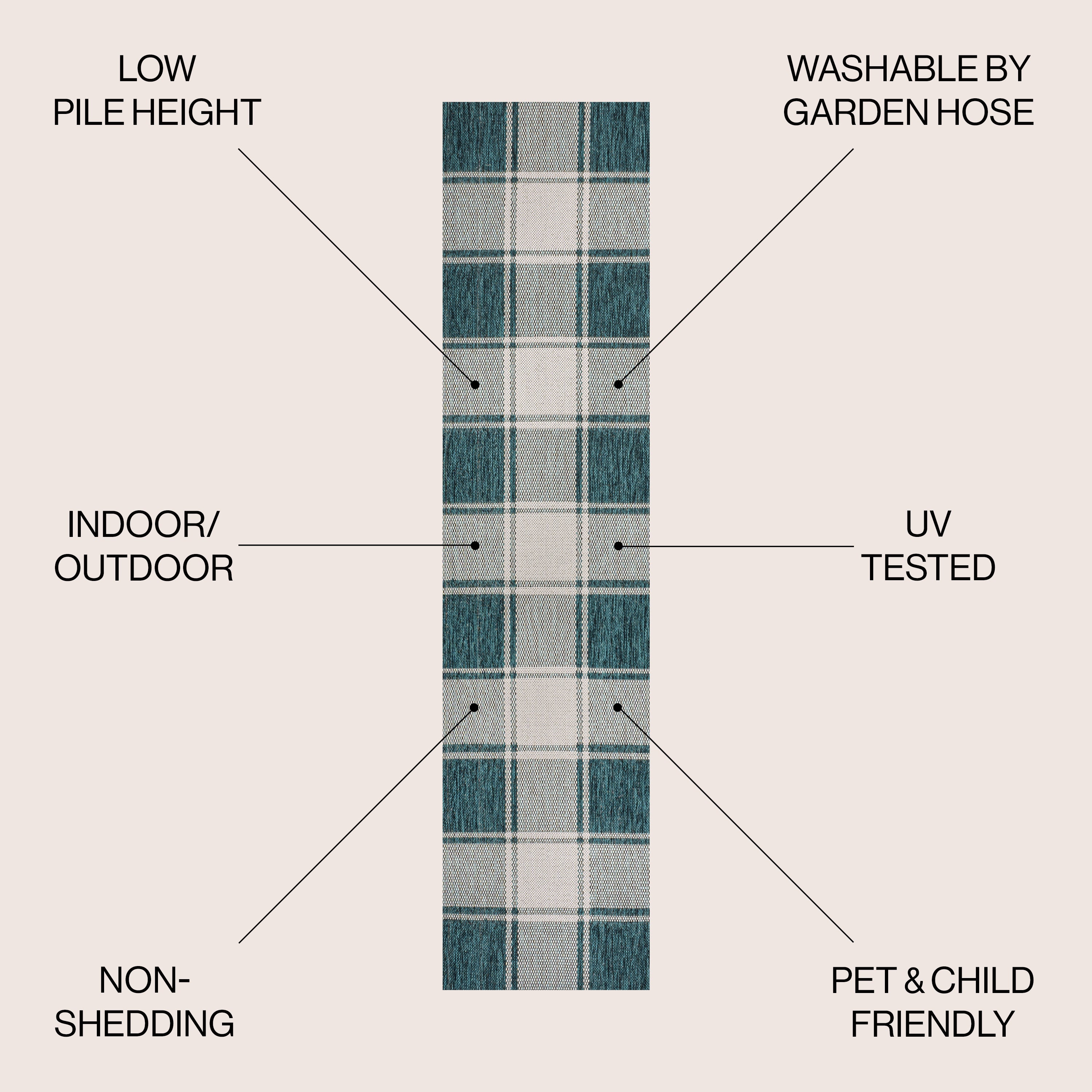 Sabine Traditional Farmhouse Bold Gingham Indoor/Outdoor Runner Rug