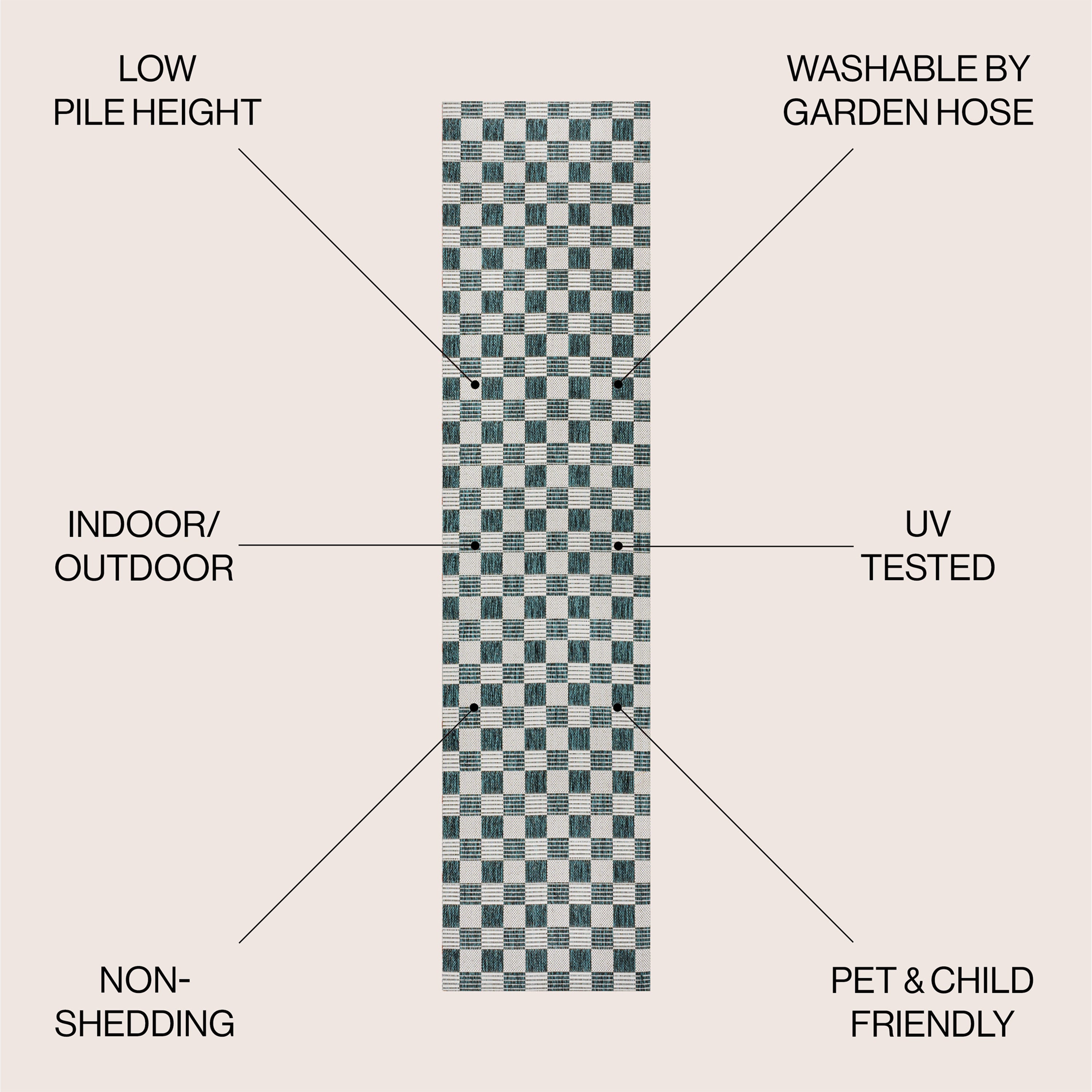 Aimee Traditional Cottage Checkerboard Indoor/Outdoor Area Rug