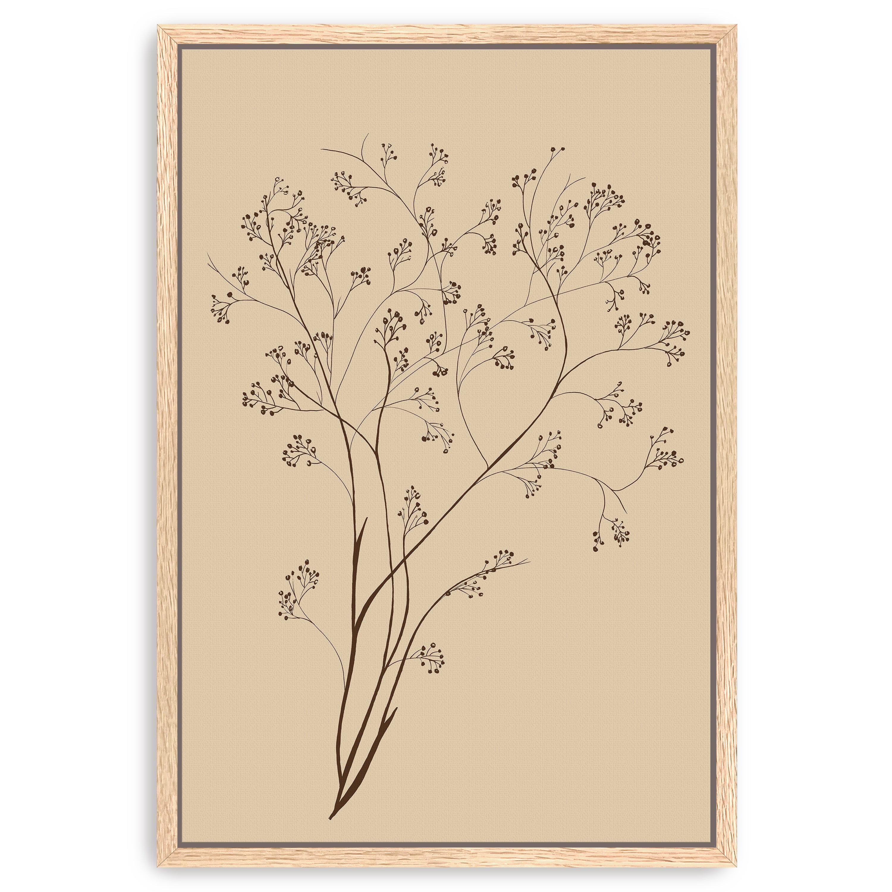 Airy Blooms I Canvas Giclee