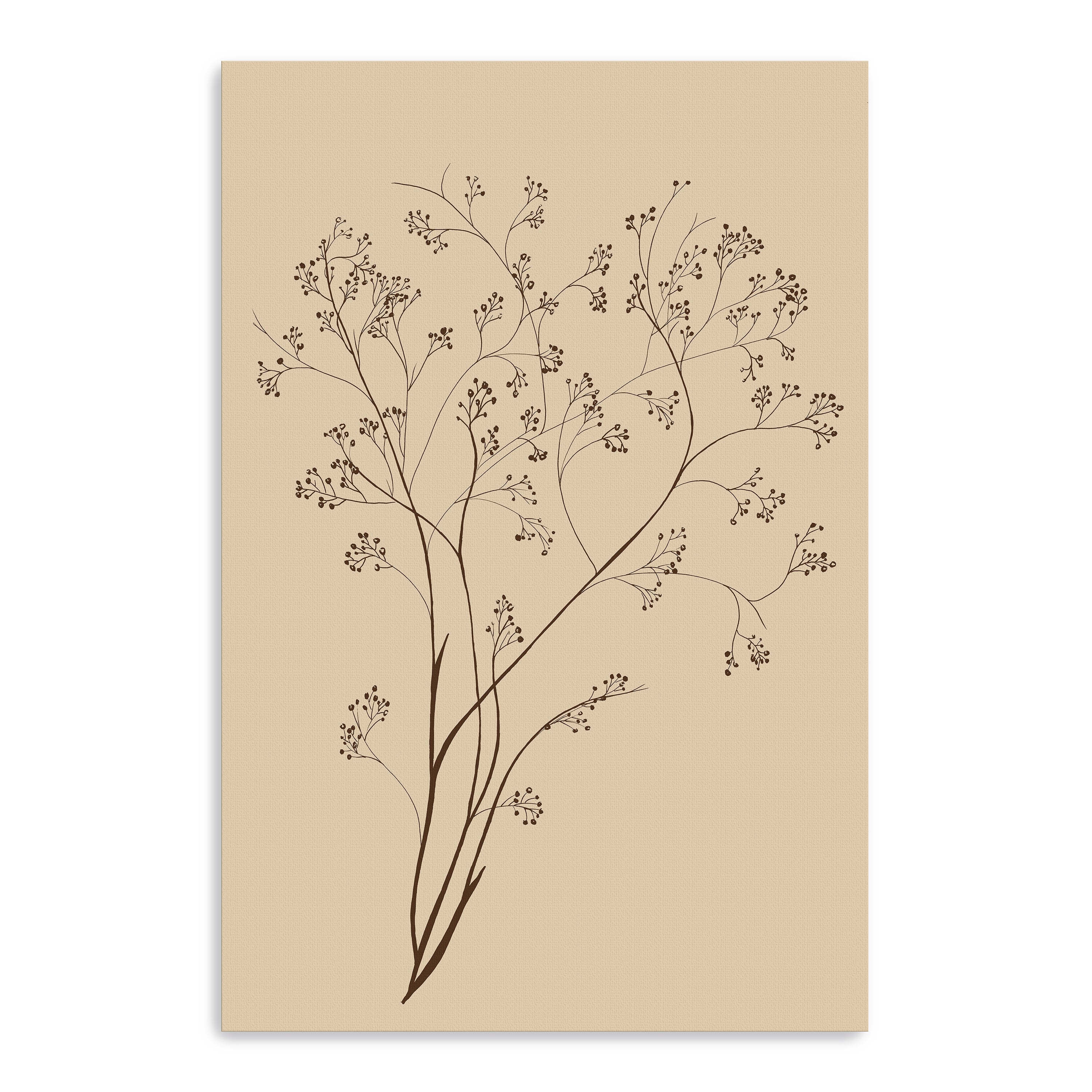 Airy Blooms I Canvas Giclee