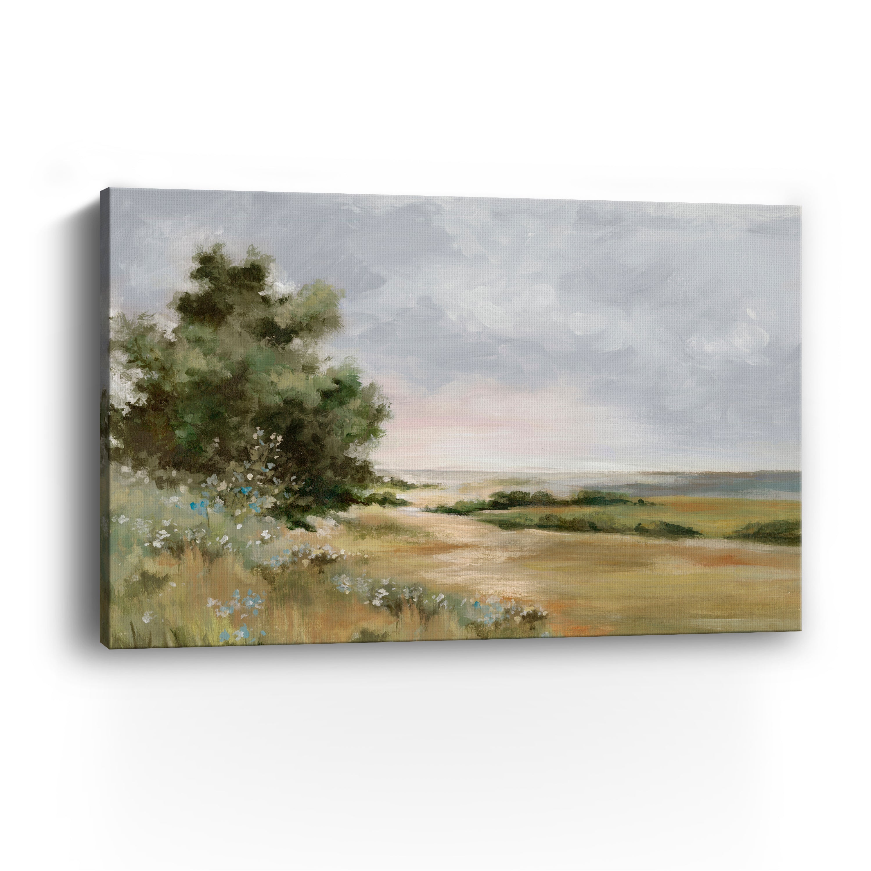 Serene Path Through Open Fields Canvas Giclee