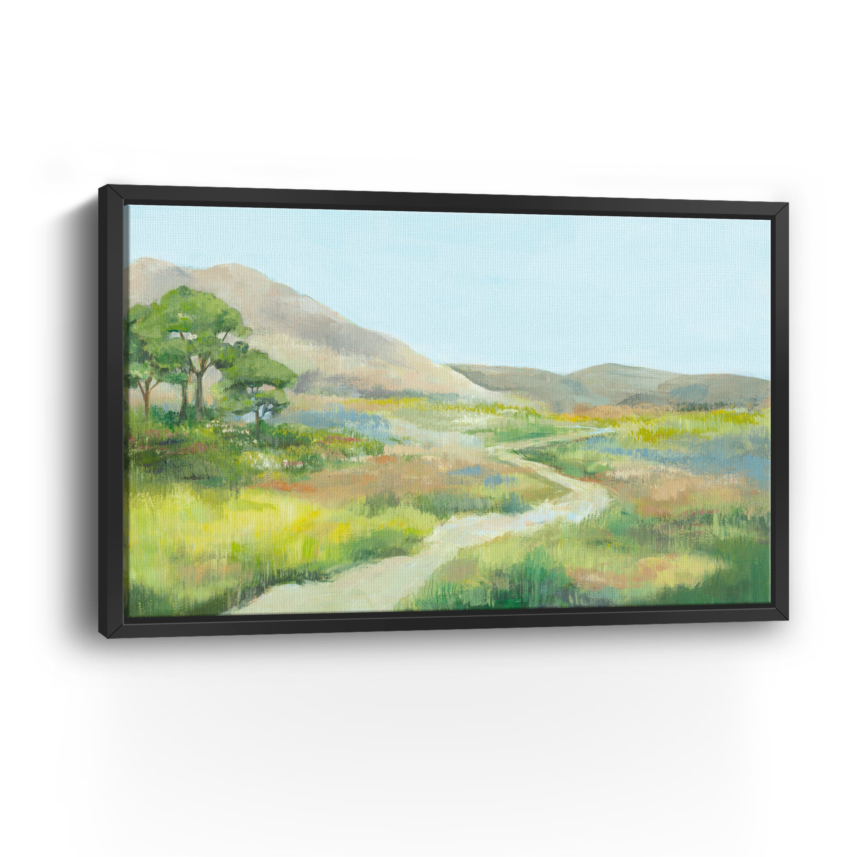 Path Through Serene Landscape Canvas Giclee