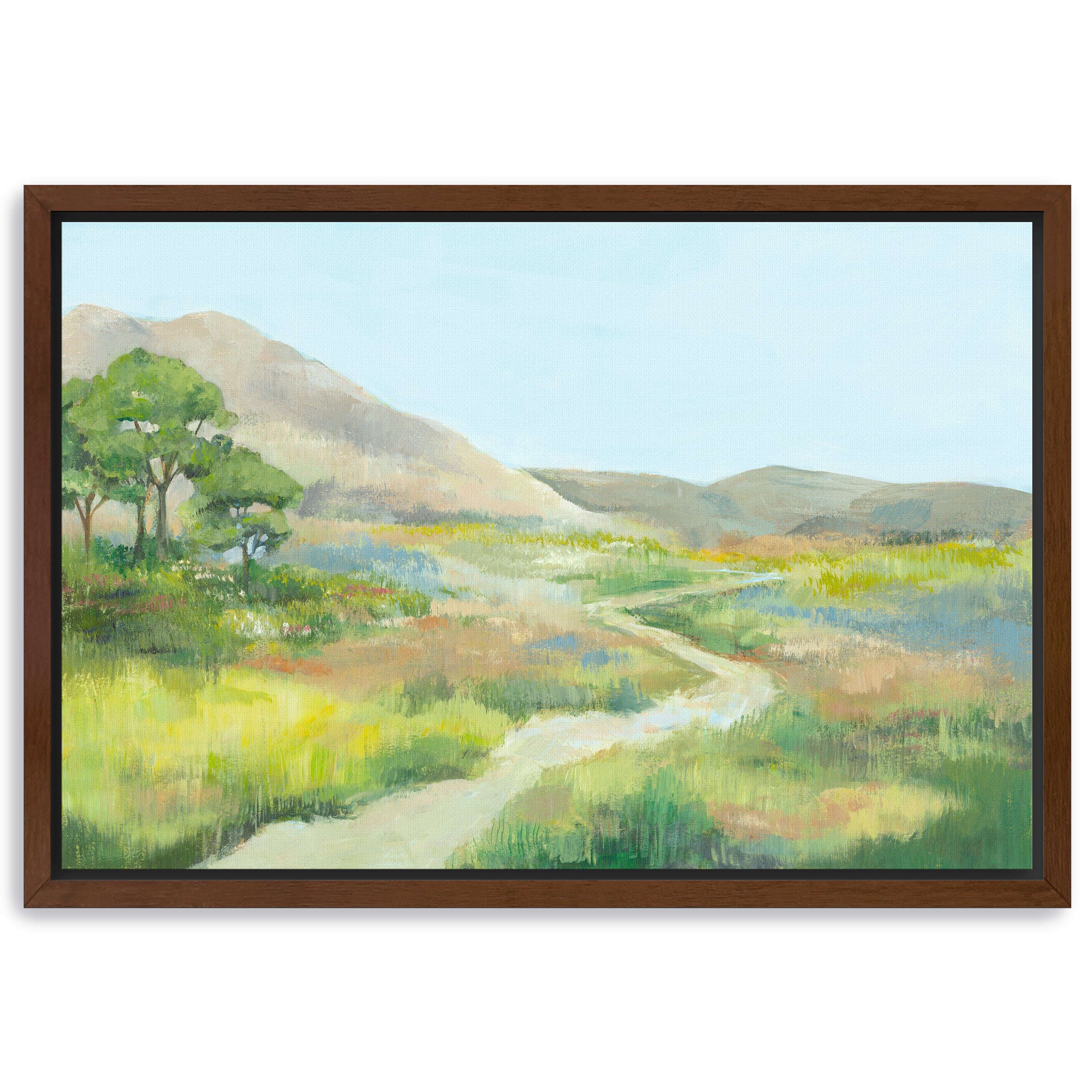Path Through Serene Landscape Canvas Giclee