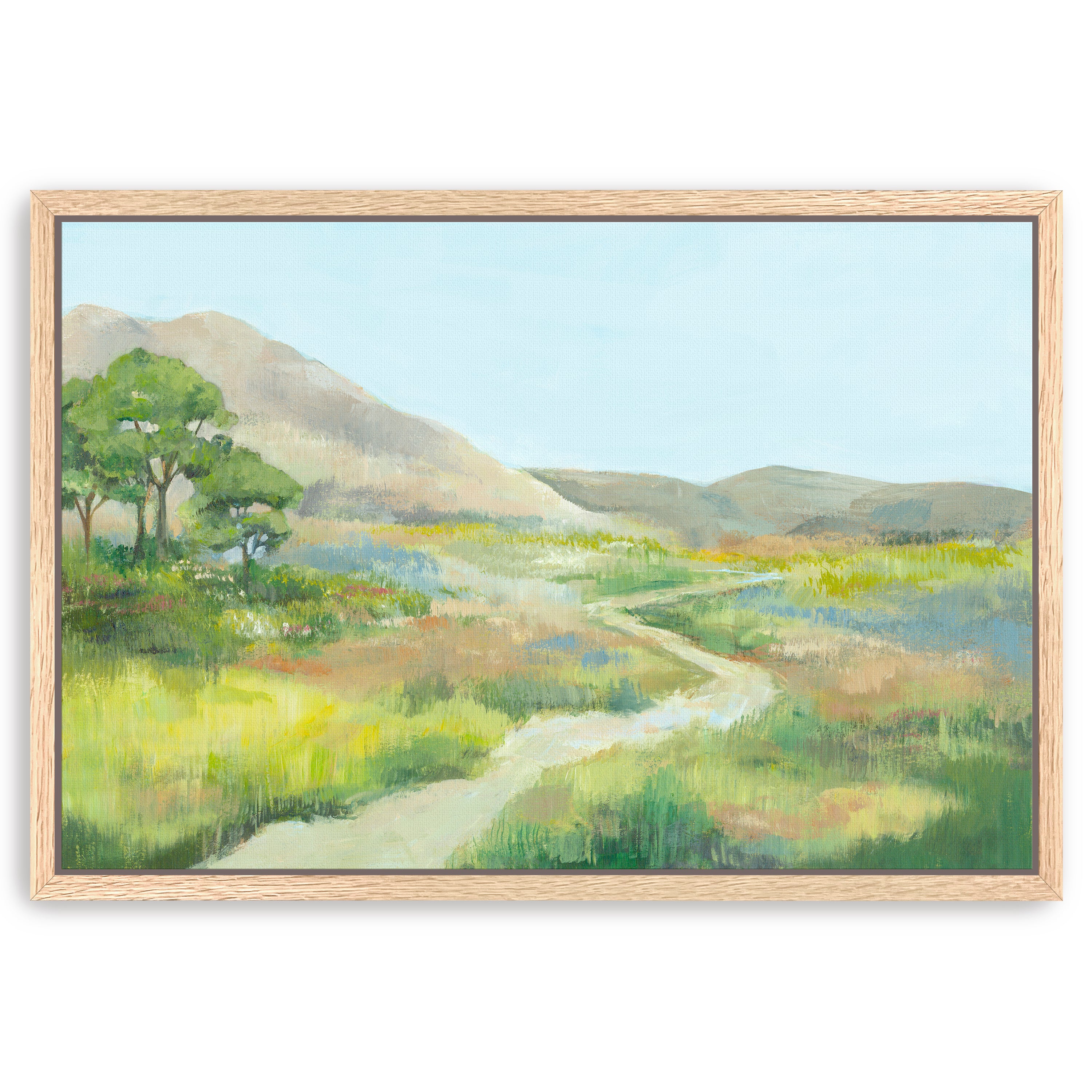 Path Through Serene Landscape Canvas Giclee