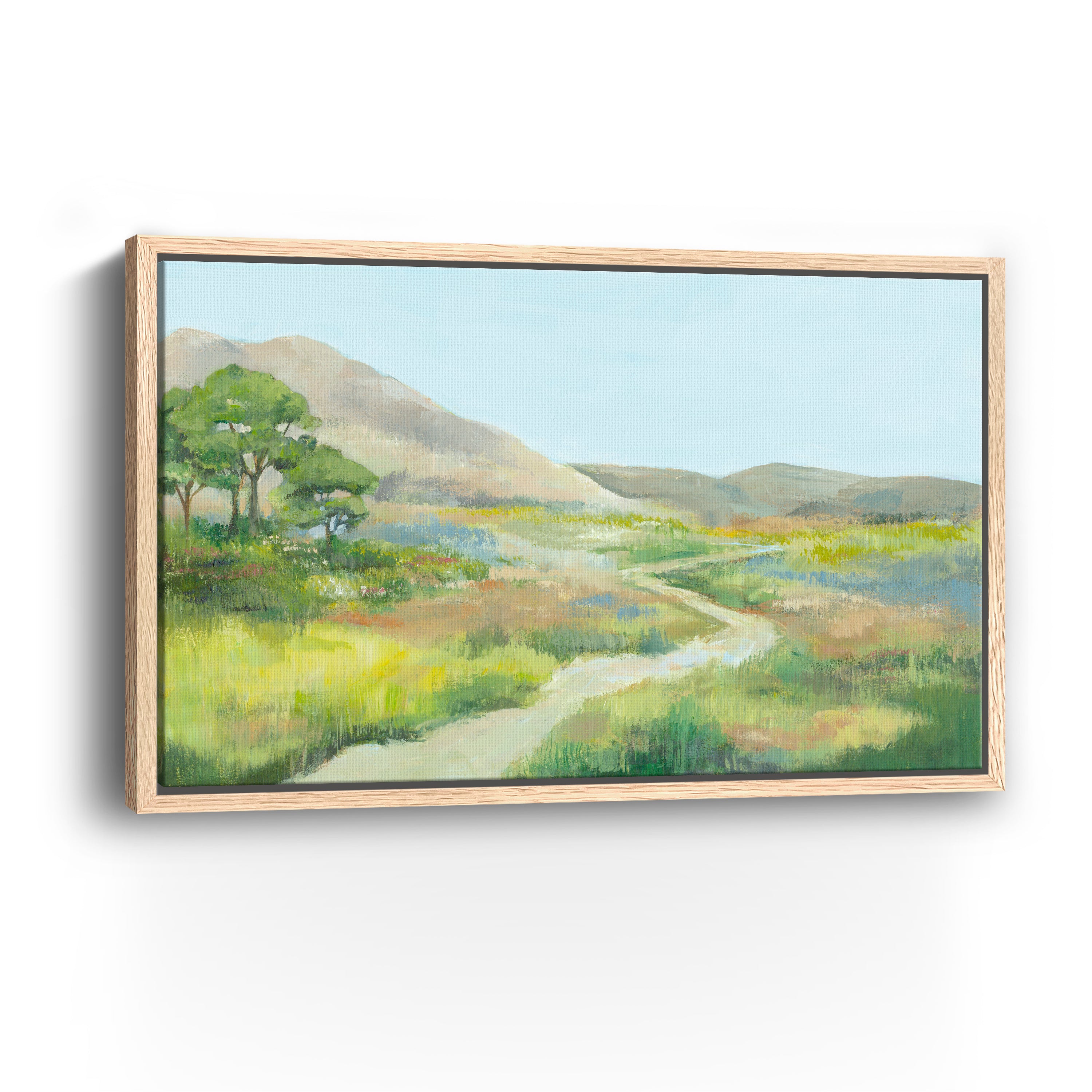 Path Through Serene Landscape Canvas Giclee