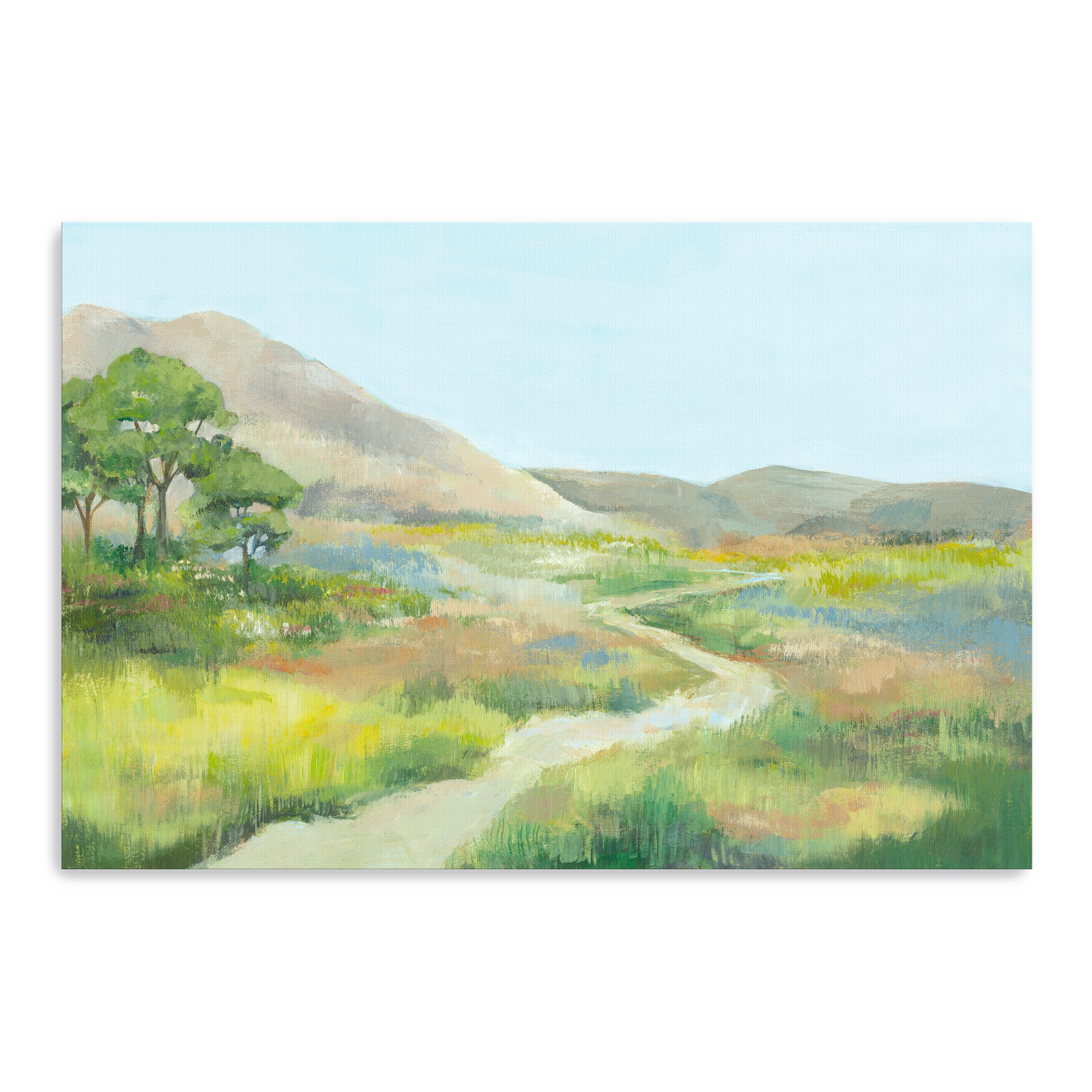 Path Through Serene Landscape Canvas Giclee