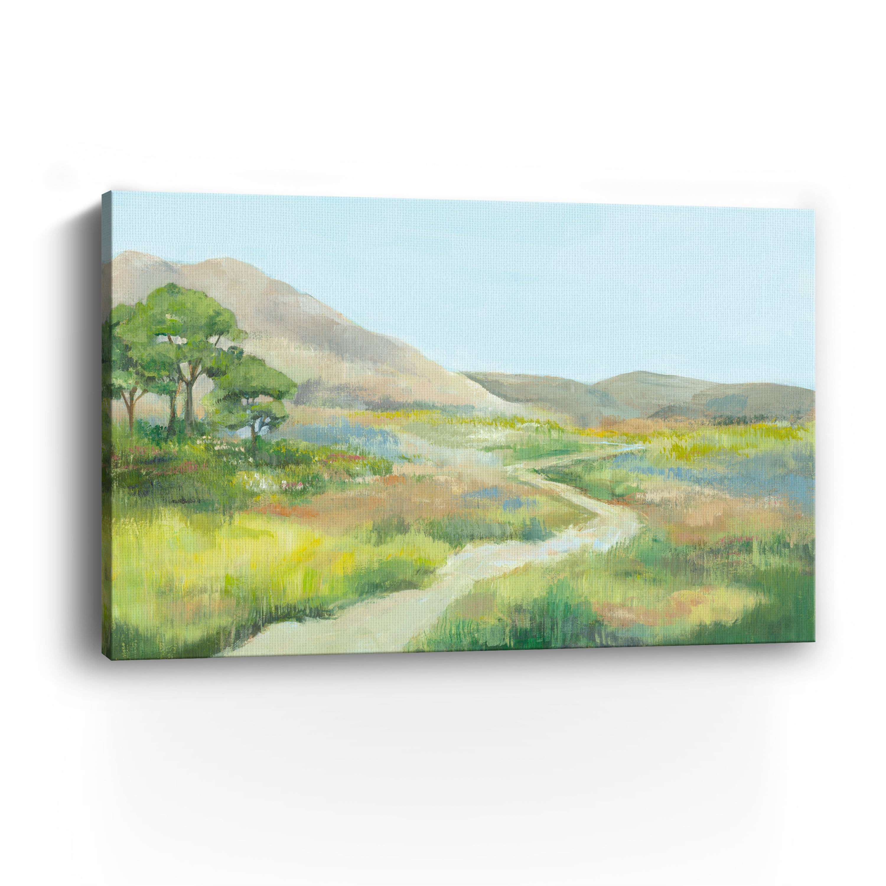 Path Through Serene Landscape Canvas Giclee