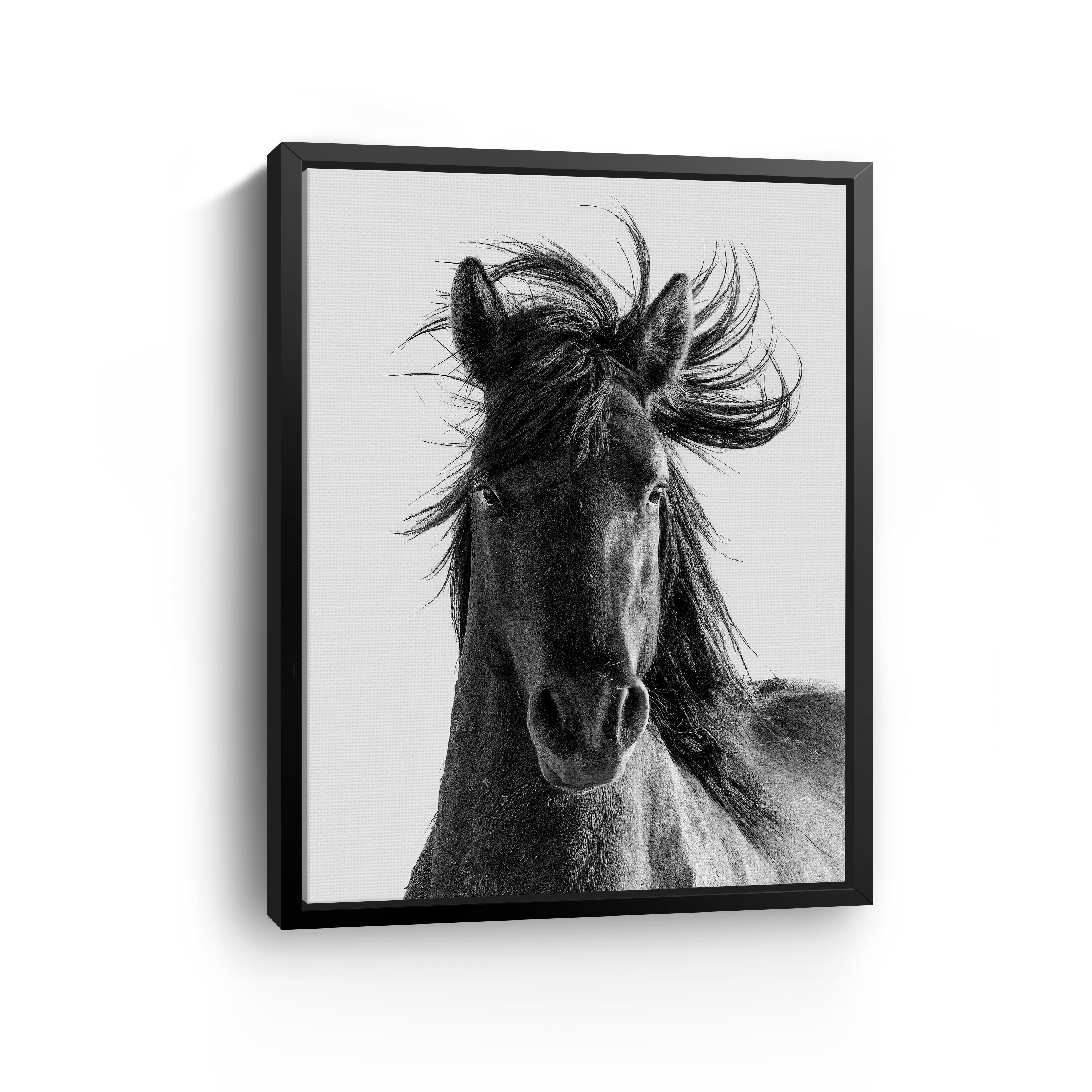 Portrait Canvas Giclee
