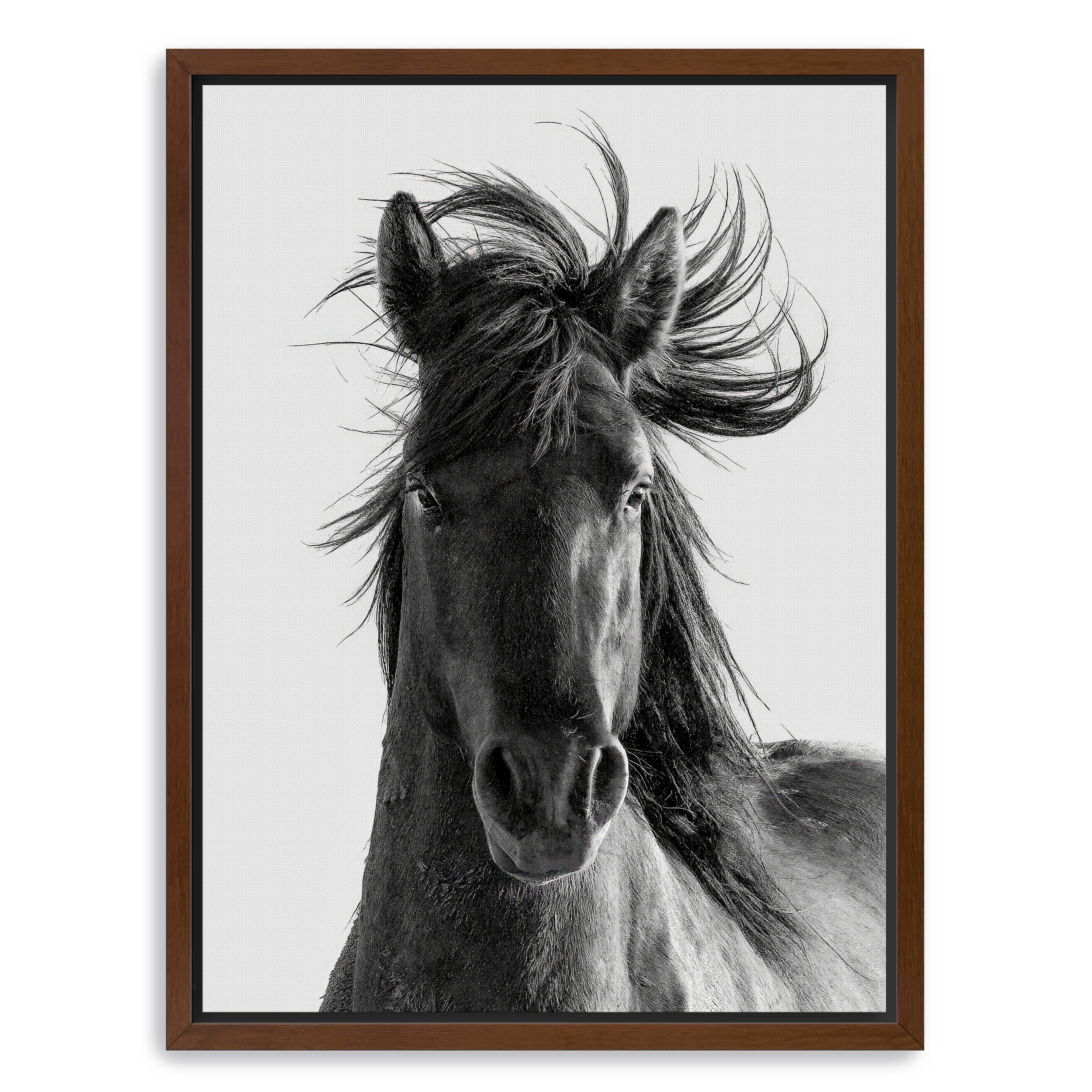 Portrait Canvas Giclee