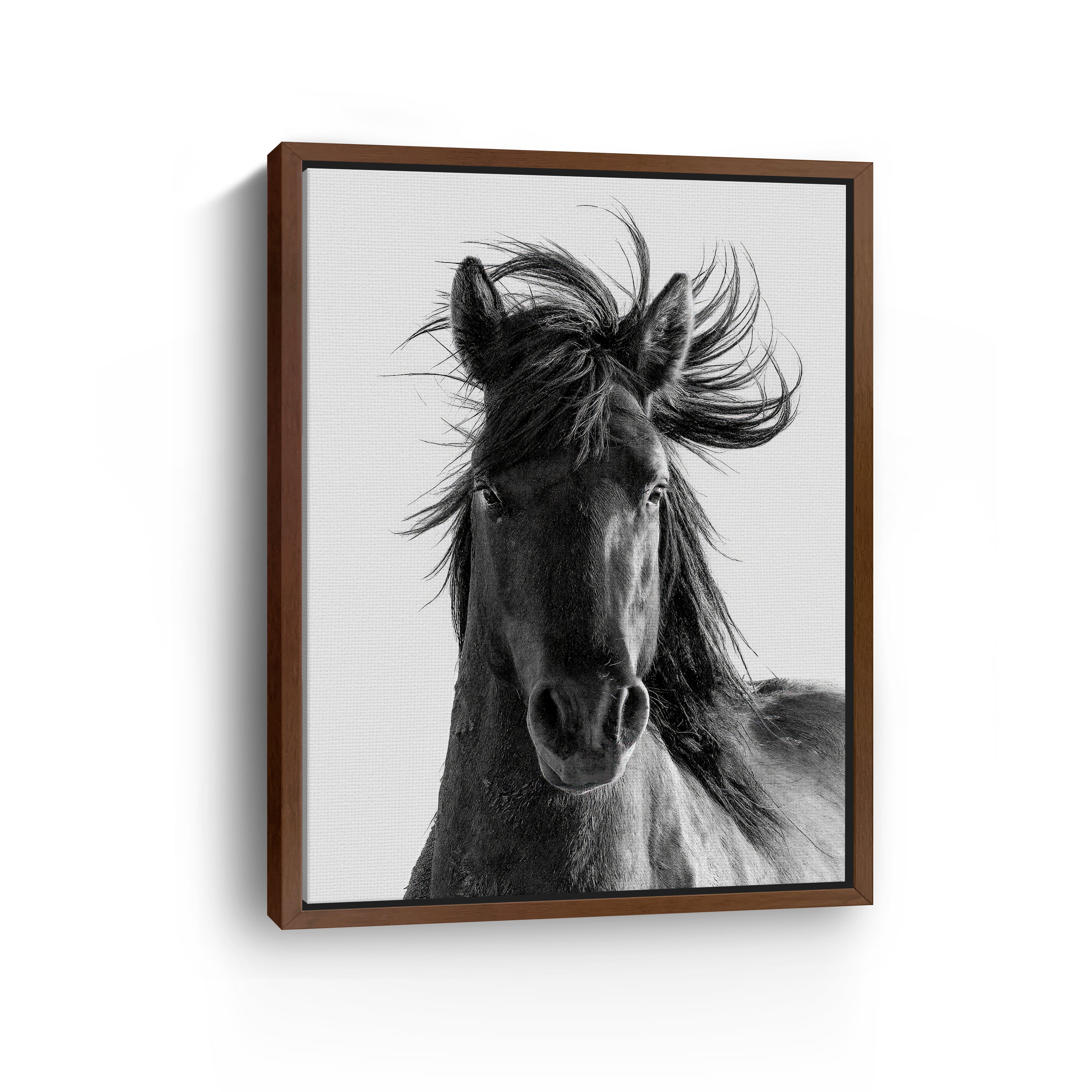 Portrait Canvas Giclee