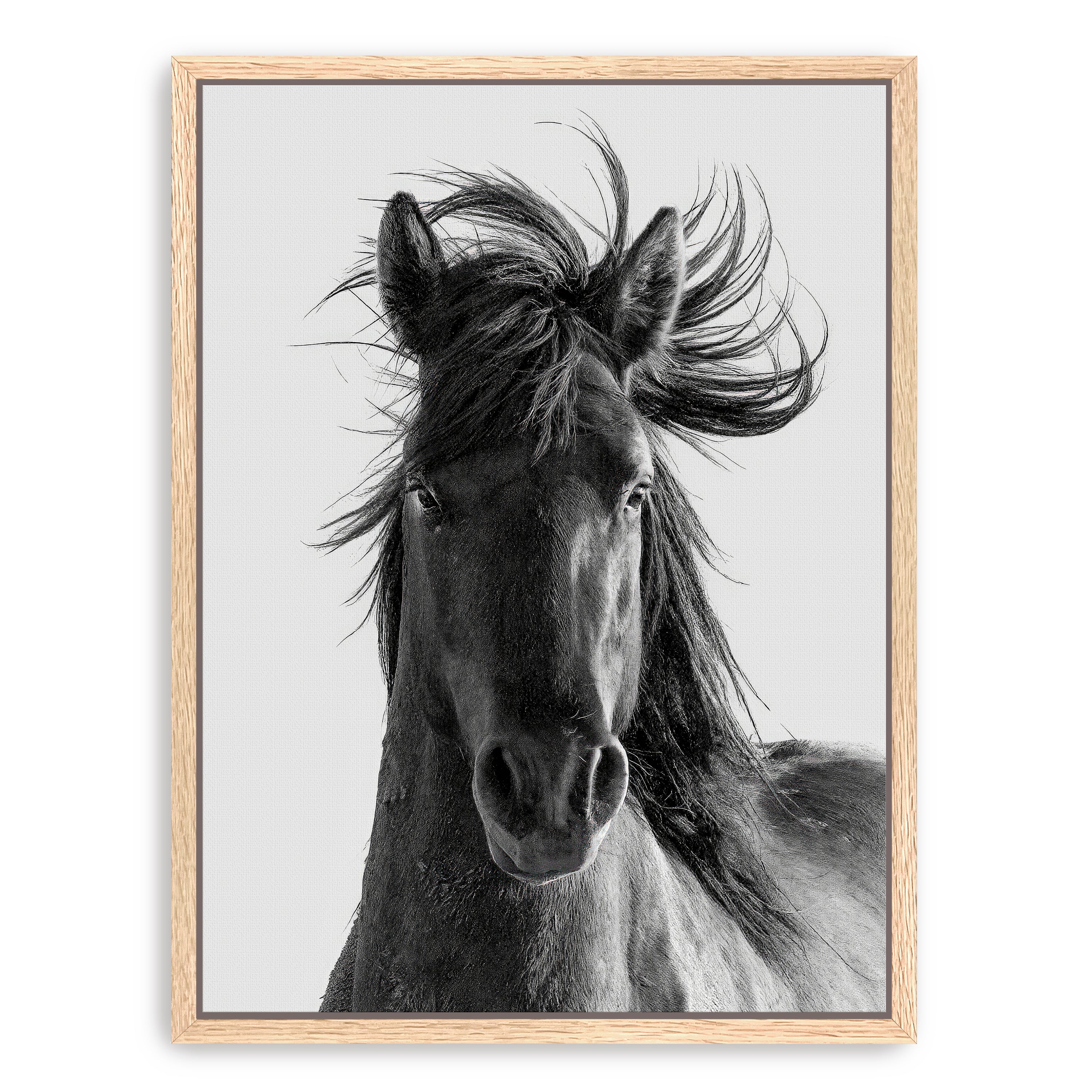 Portrait Canvas Giclee