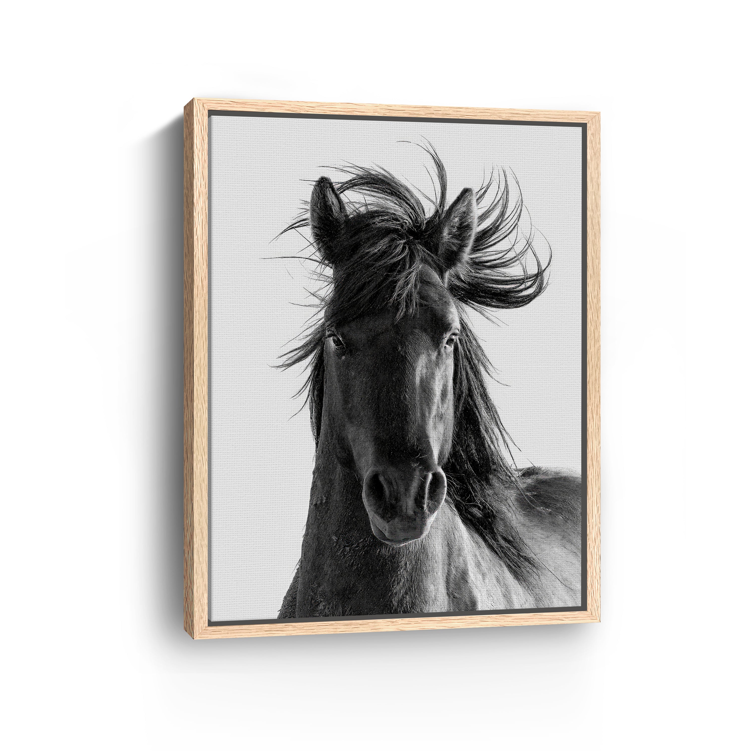 Portrait Canvas Giclee