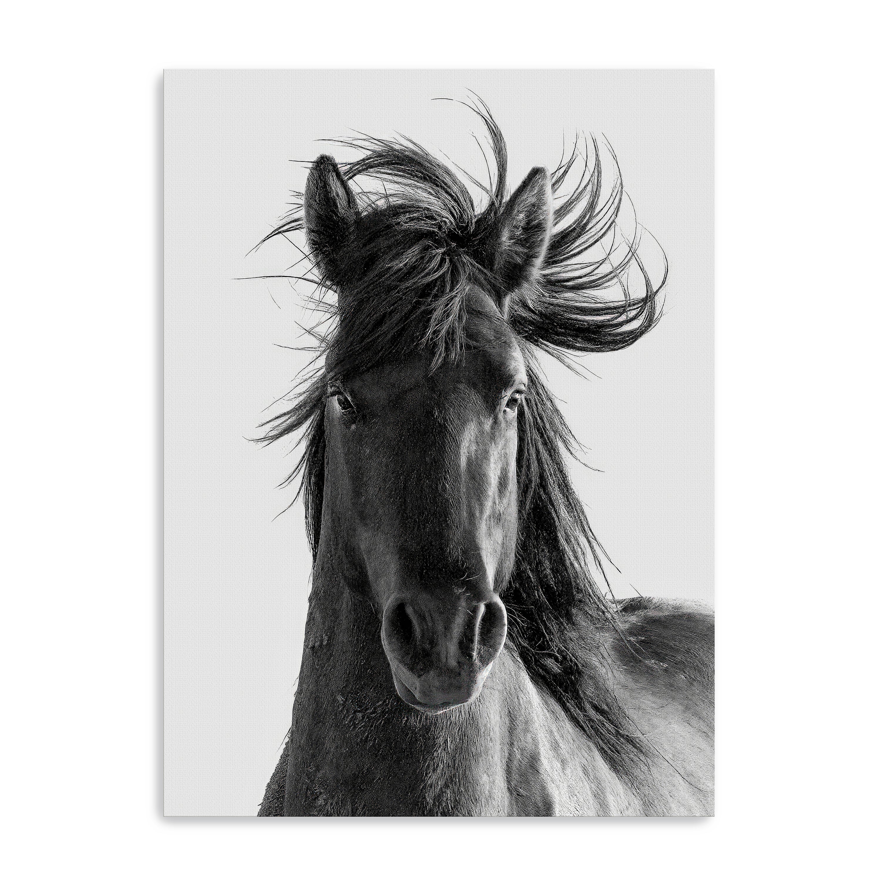 Portrait Canvas Giclee