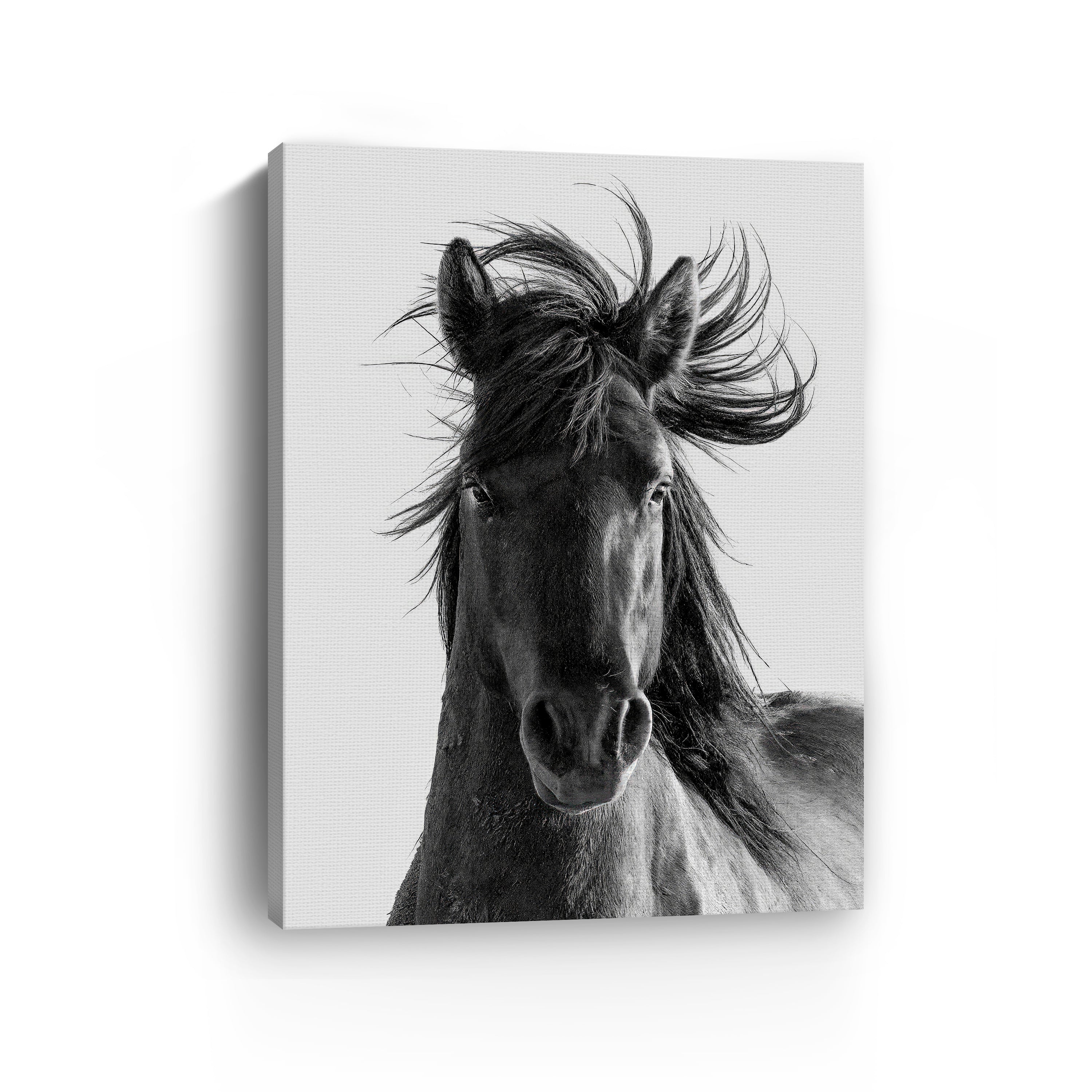 Portrait Canvas Giclee