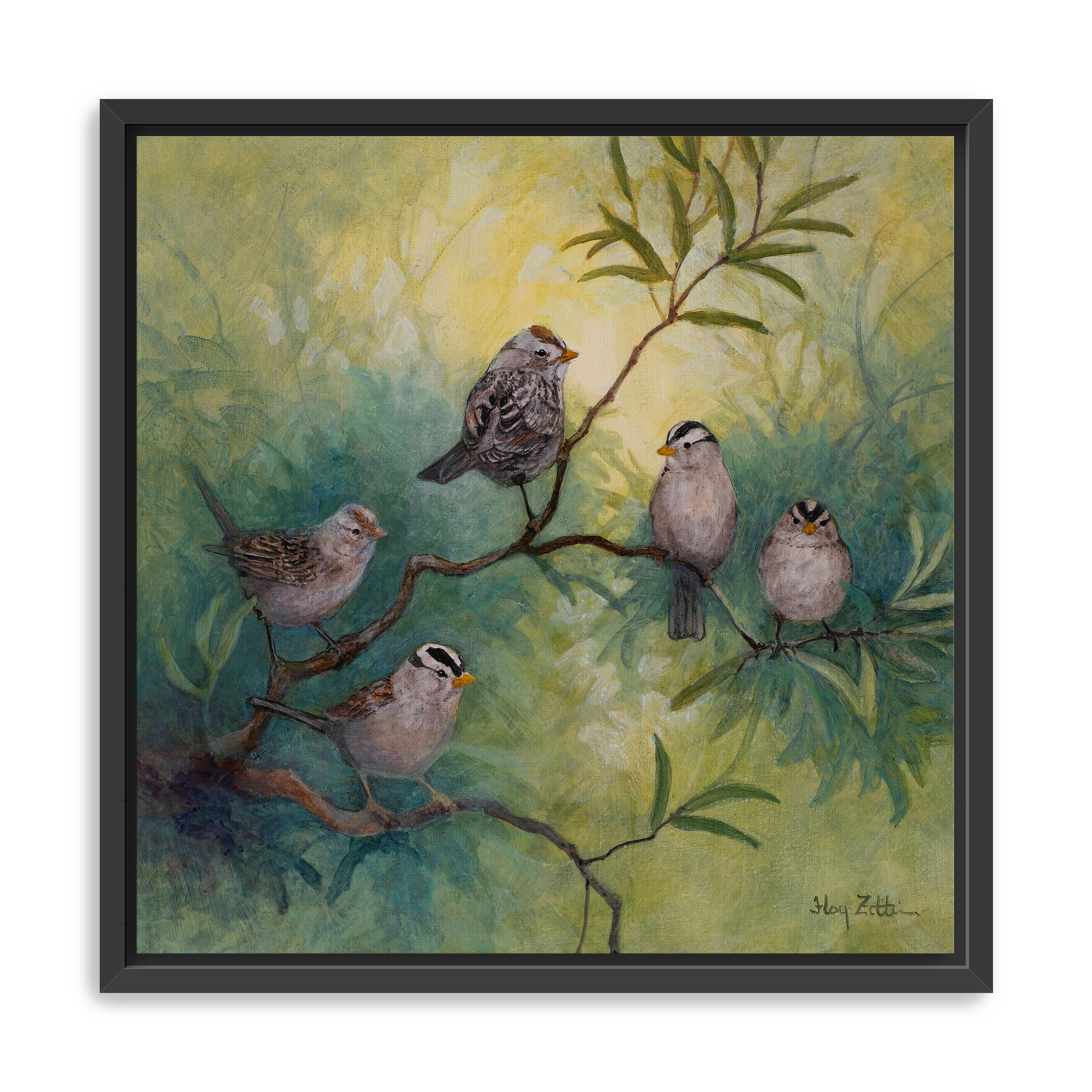 White-crowned Sparrows Canvas Giclee