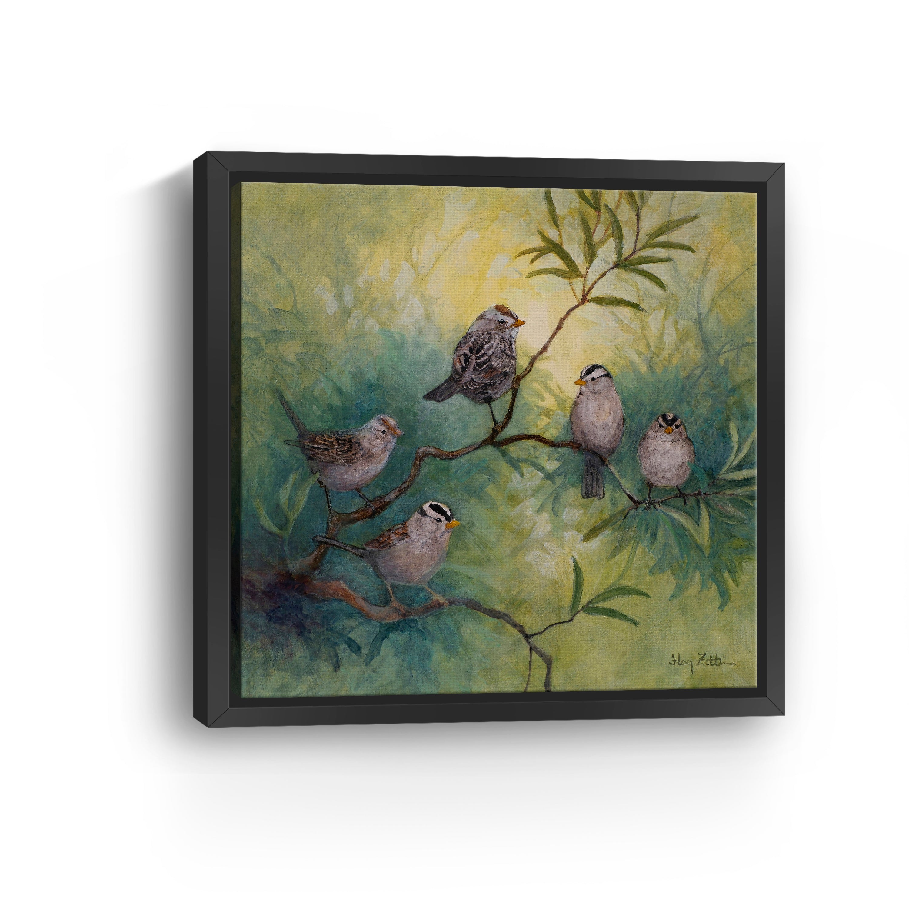 White-crowned Sparrows Canvas Giclee