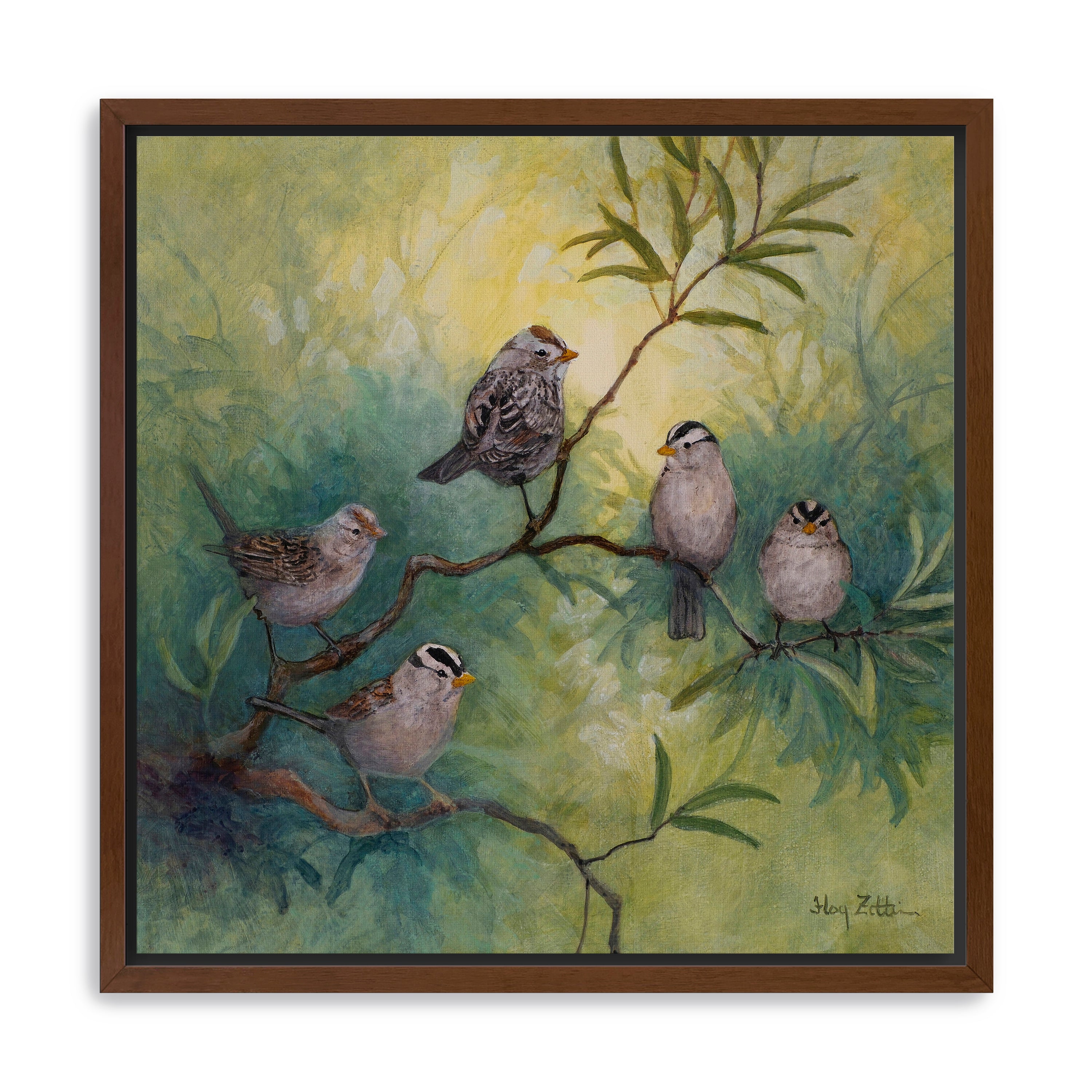 White-crowned Sparrows Canvas Giclee