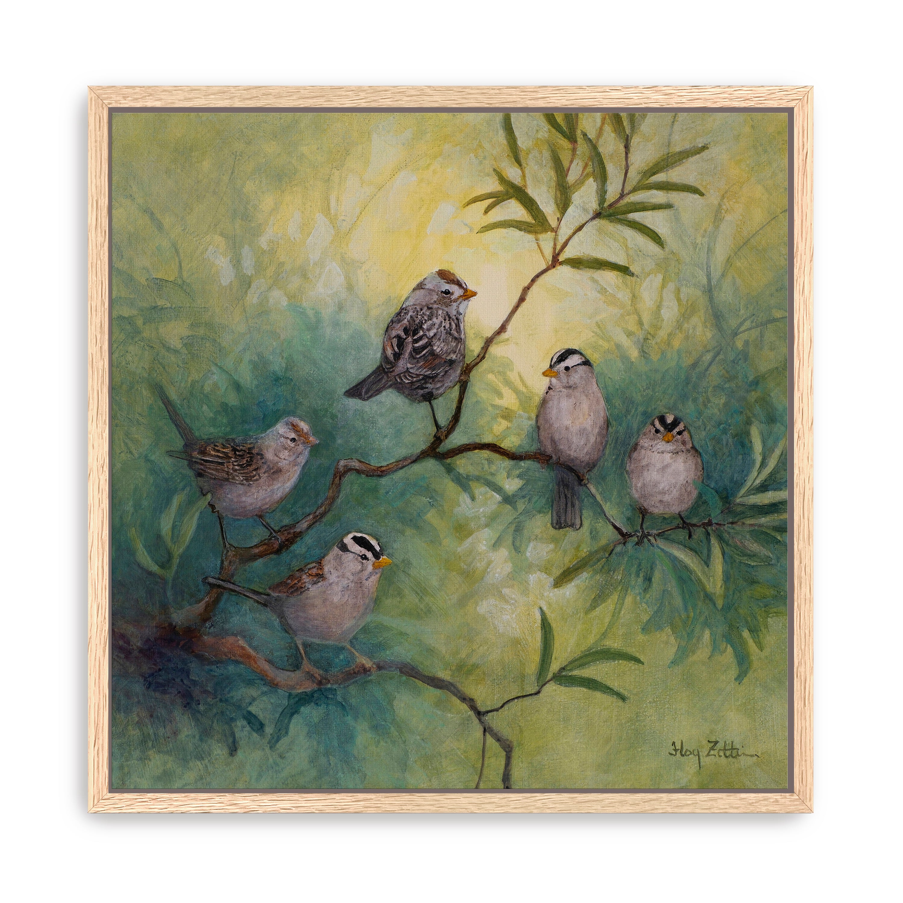 White-crowned Sparrows Canvas Giclee