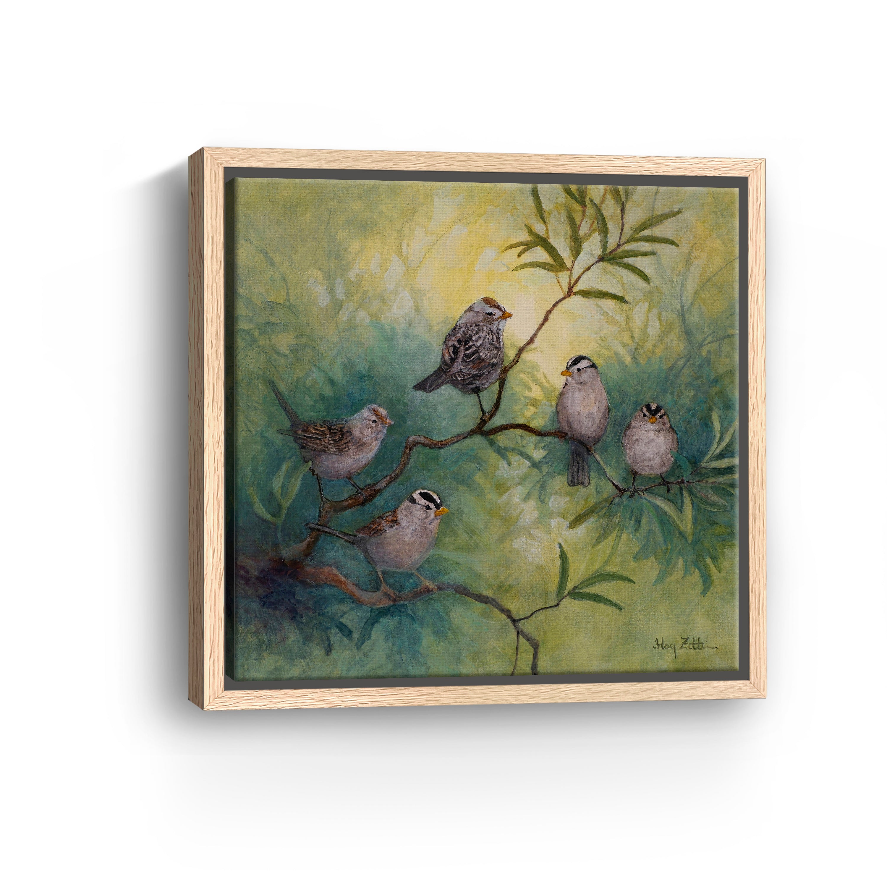 White-crowned Sparrows Canvas Giclee