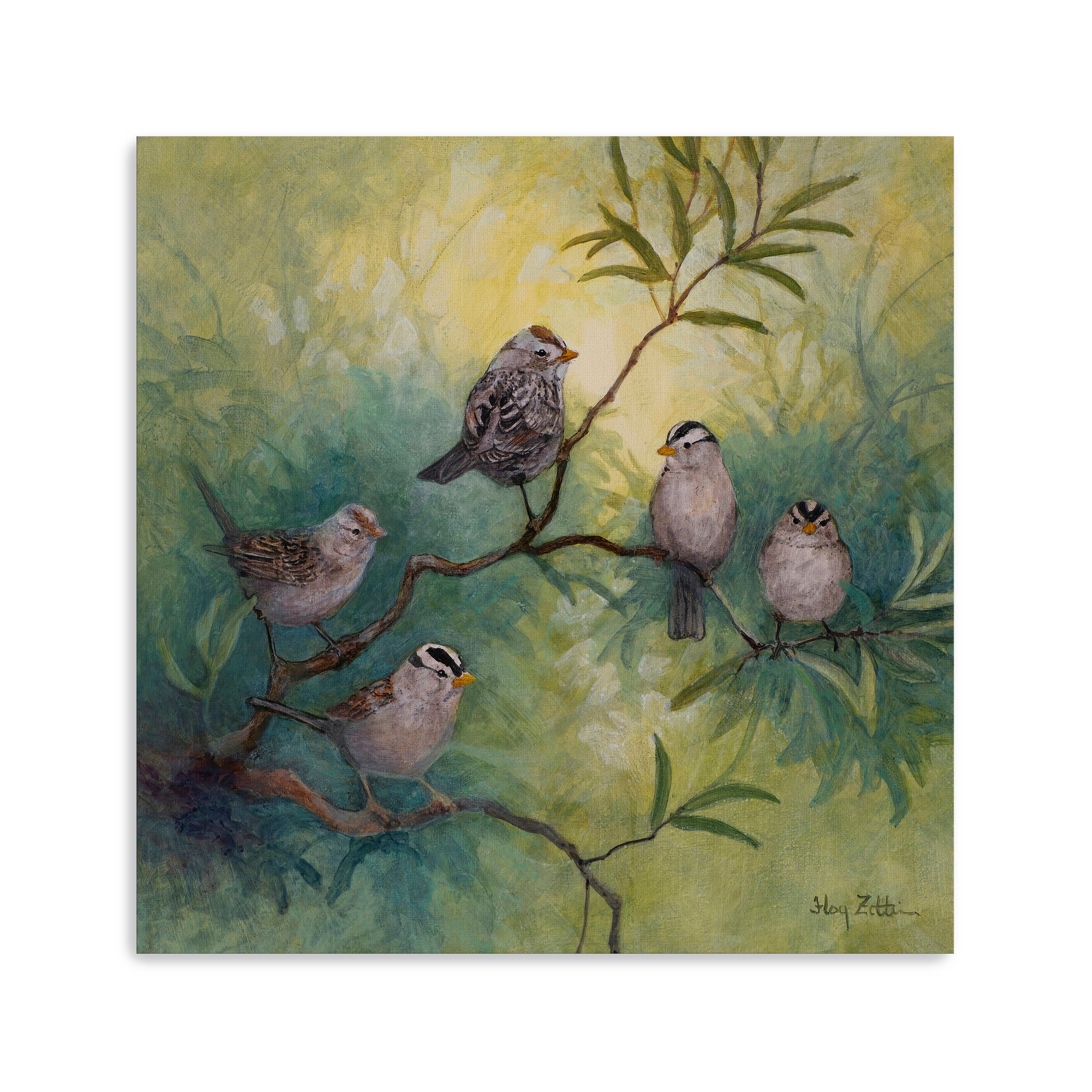 White-crowned Sparrows Canvas Giclee