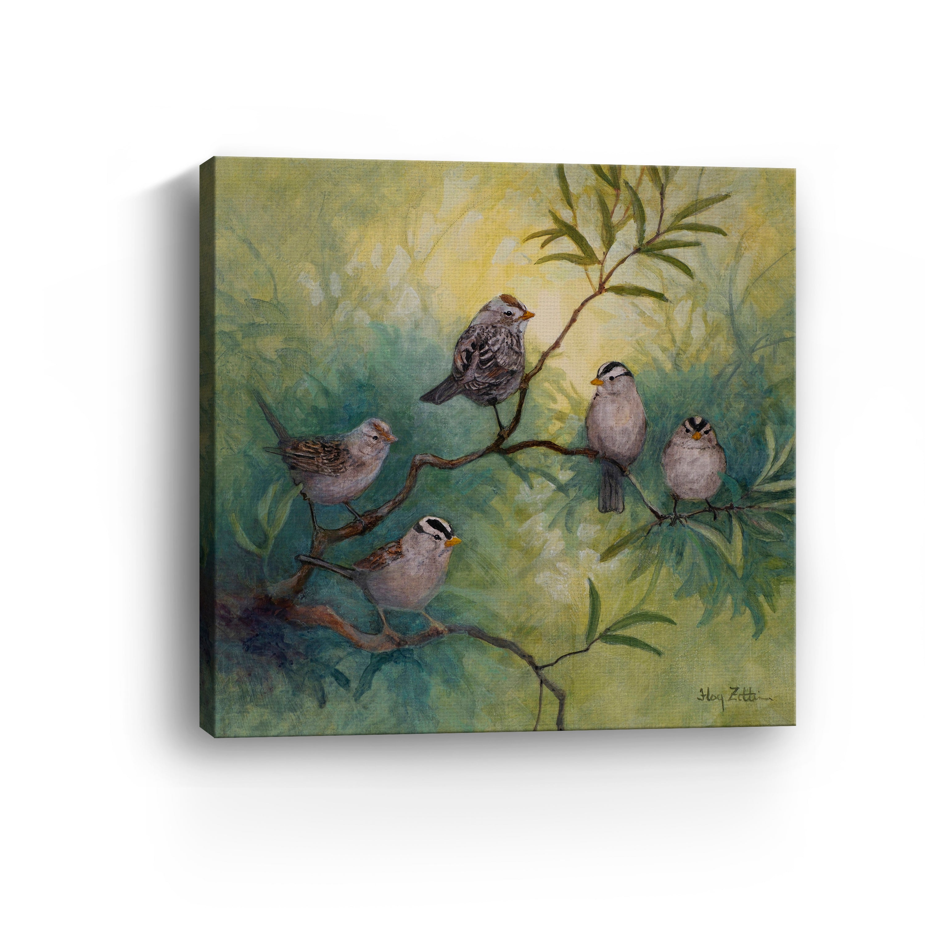 White-crowned Sparrows Canvas Giclee