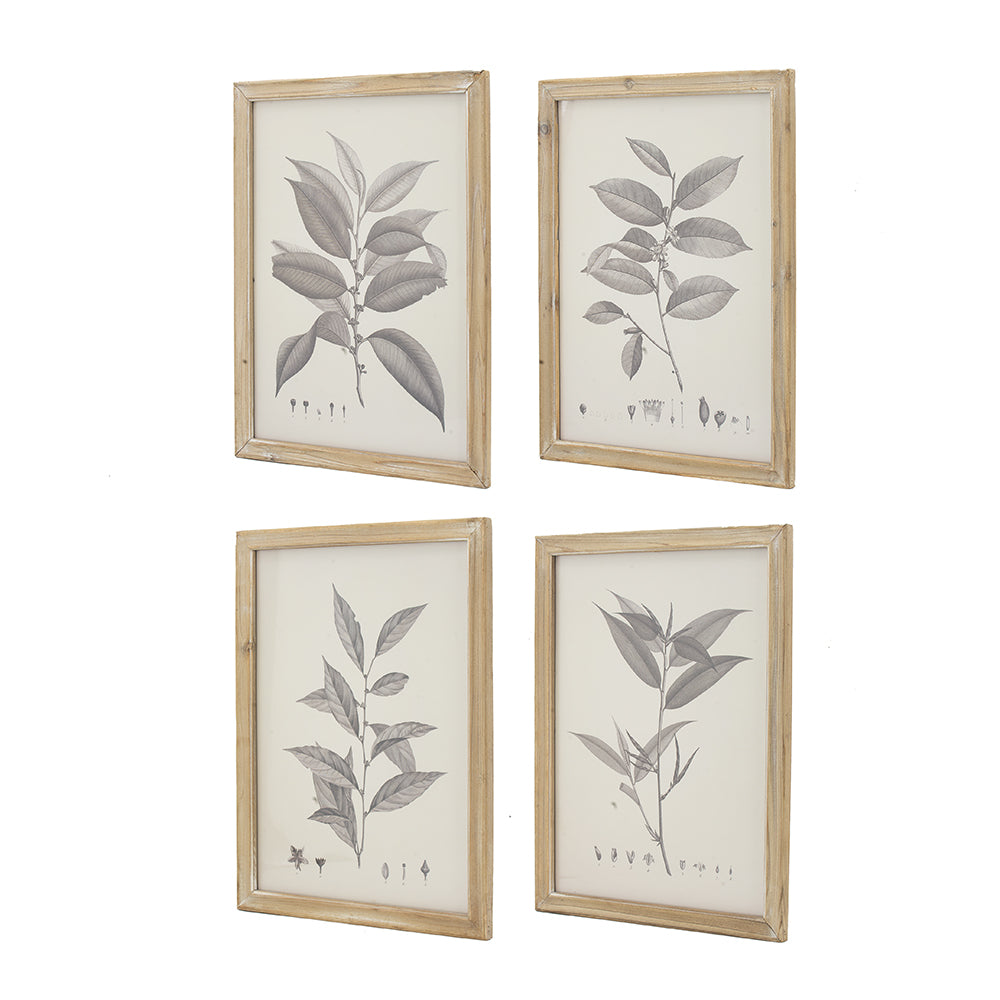 Botanical Wall Décor, Set of 4
