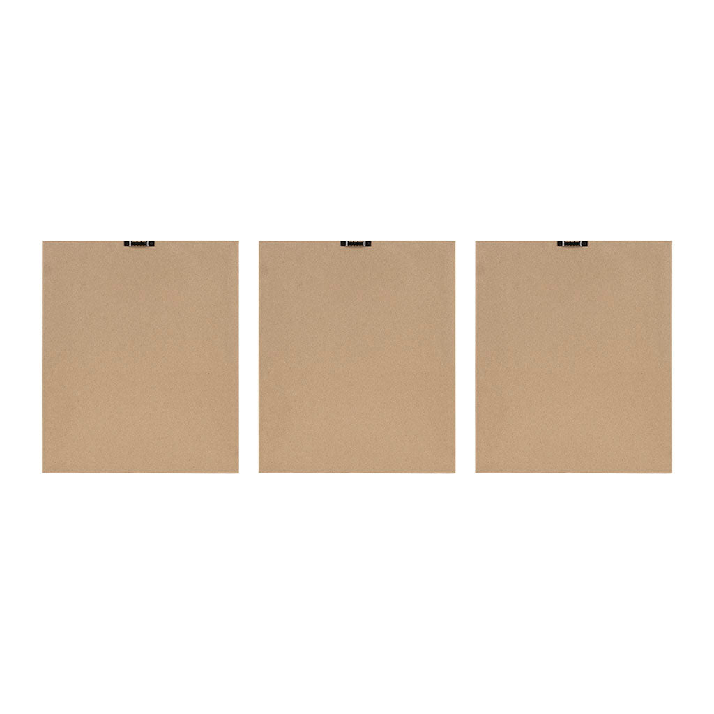 3-Piece Wall Art Set with Botanical Floral