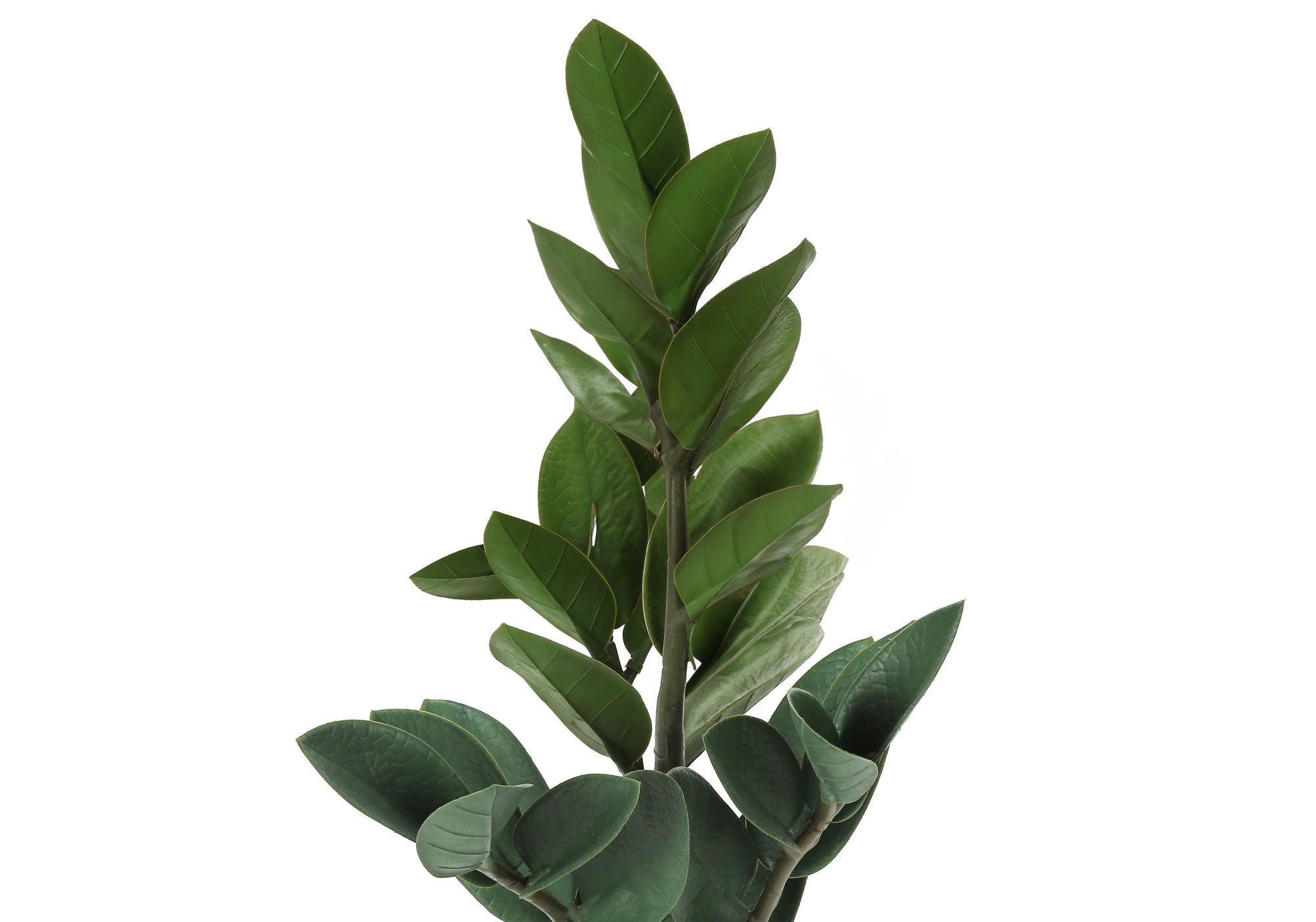 20" Tall Artificial Zz Plant with Grey Pot