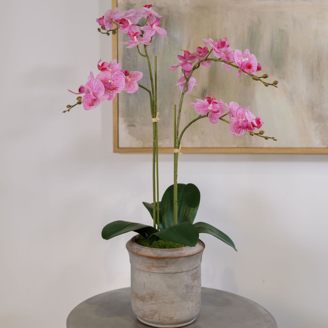Faux Potted Phalaenopsis Orchid, 24 in