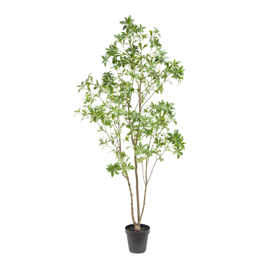 Faux Laurel Tree, 7 ft