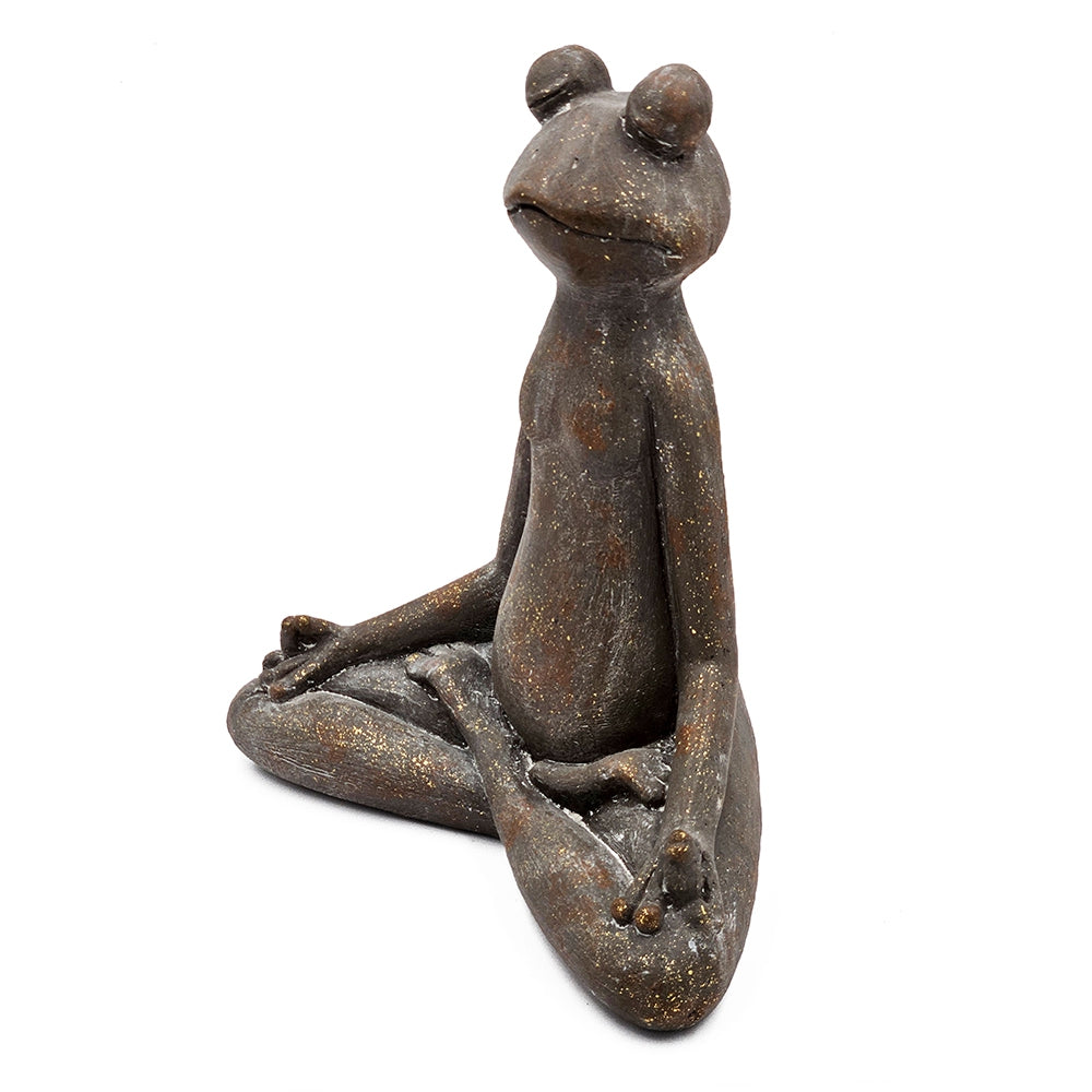 Yoga Frog in Lotus Pose