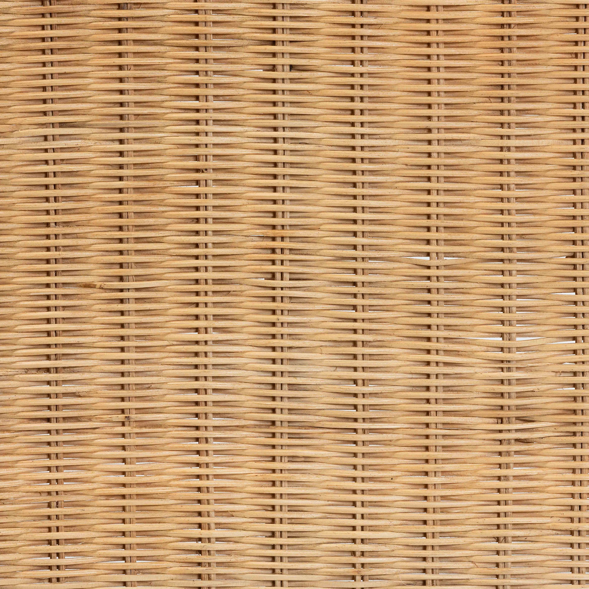 23993017