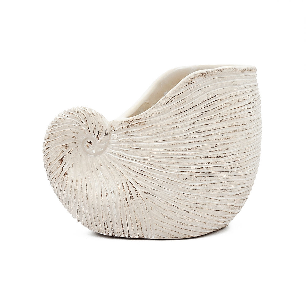 Nautilus Shell Planter with Textured Finish