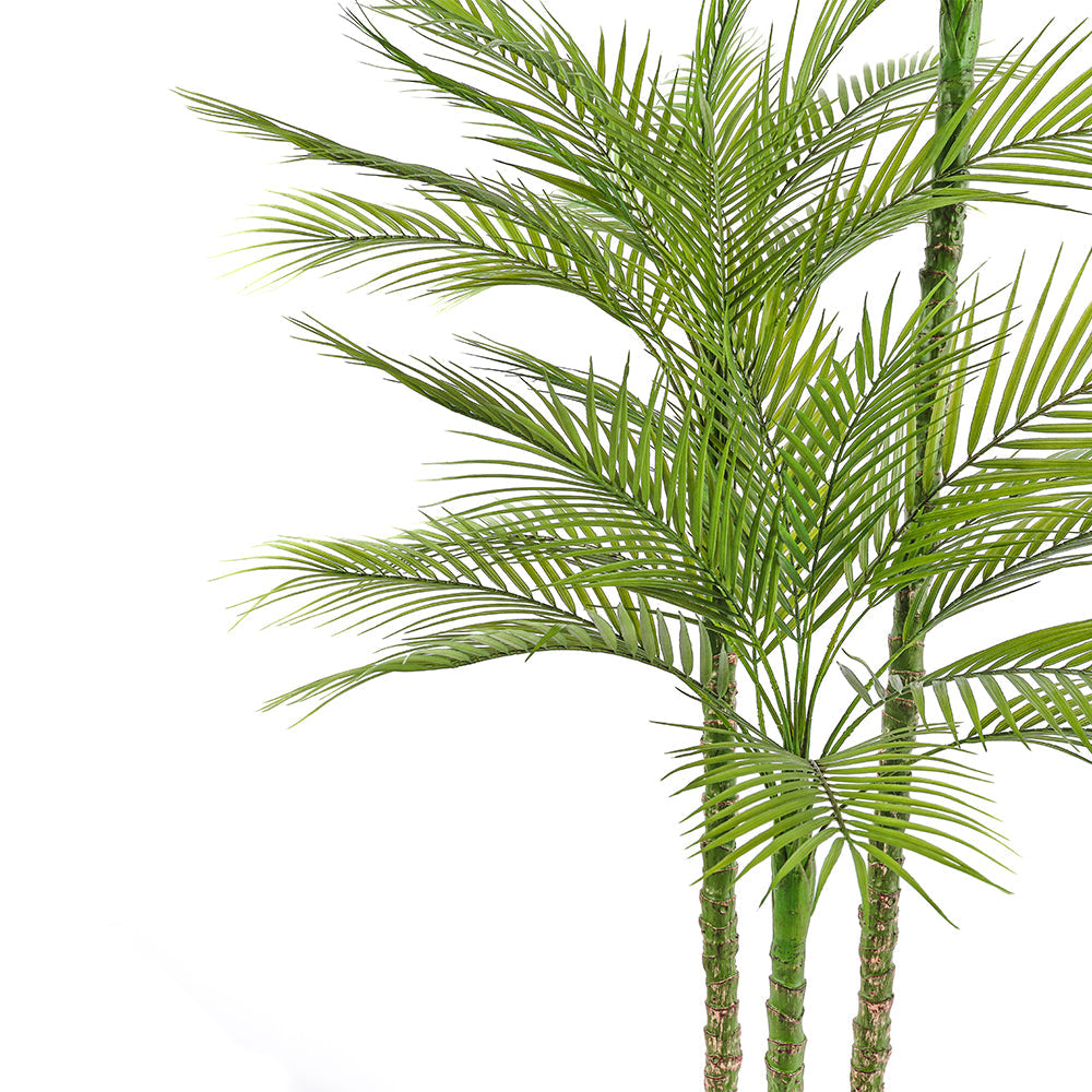 Close up of the handpainted tree trunks and grower pot for CG Hunter Artificial Palm Tree 7' in a sleek black 9.5" grower pot