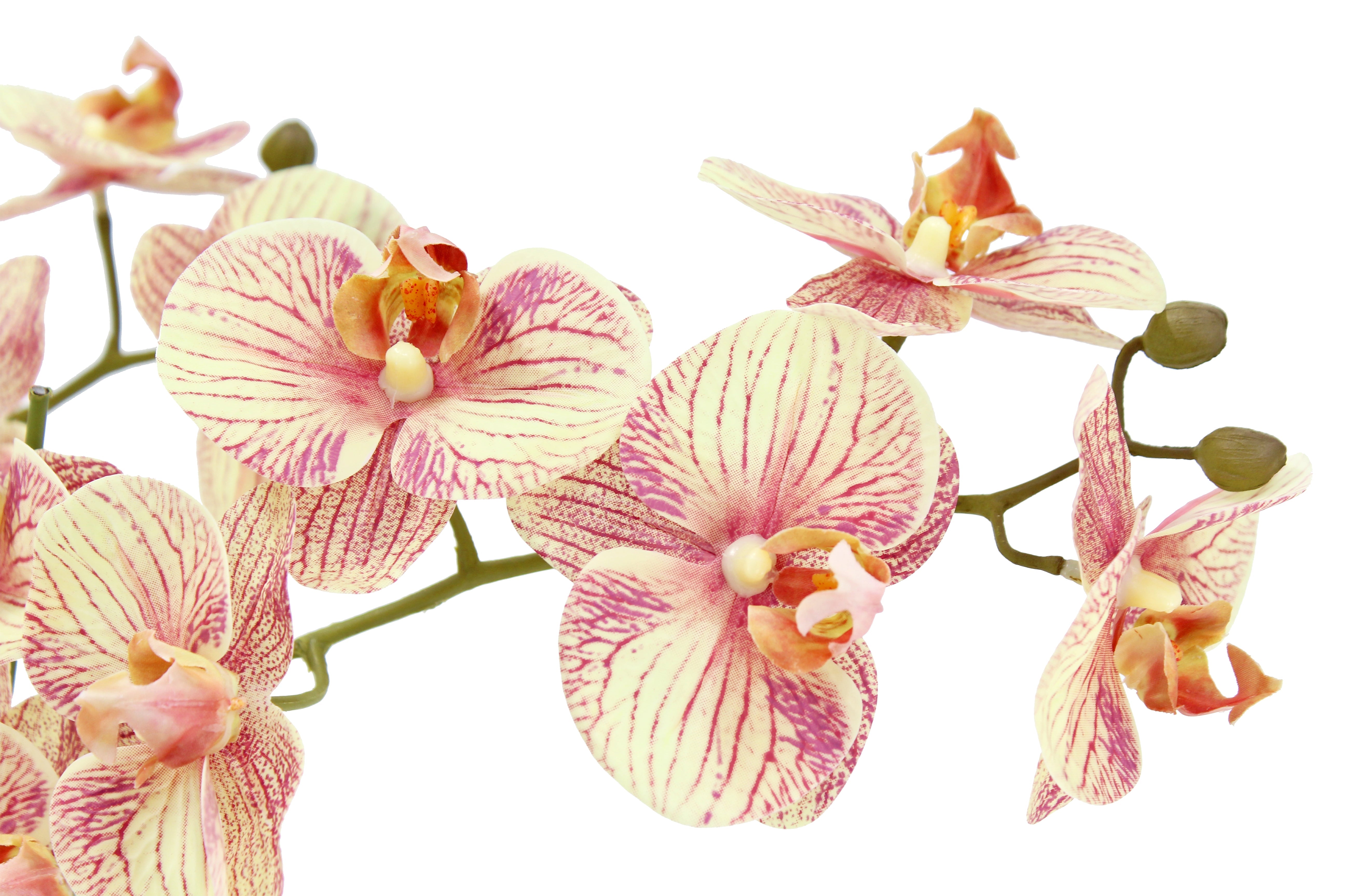Faux Potted  Phalaenopsis Orchid, 23 in