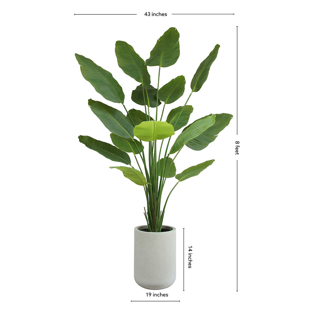 Faux Bird of Paradise with Pot, 8 ft